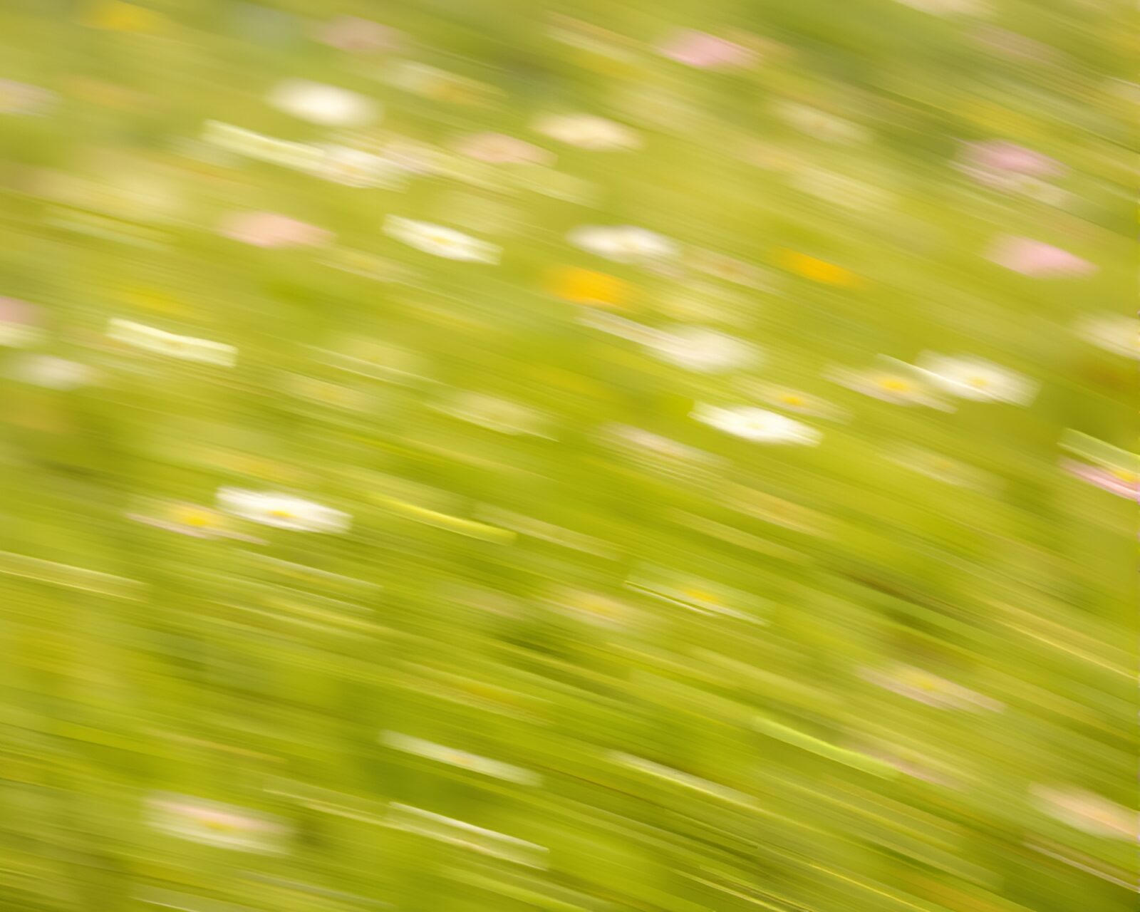 Vivid cel-shaded flowers on blurred meadow background in motion
