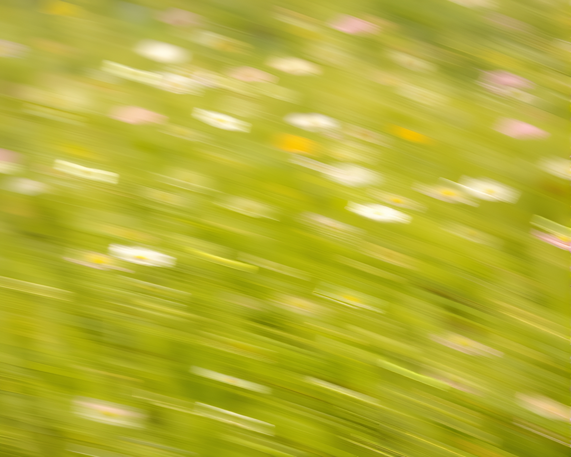 Dynamic Flower Meadow: Cel-Shaded Blossoms in Motion Blur – free AI stock image