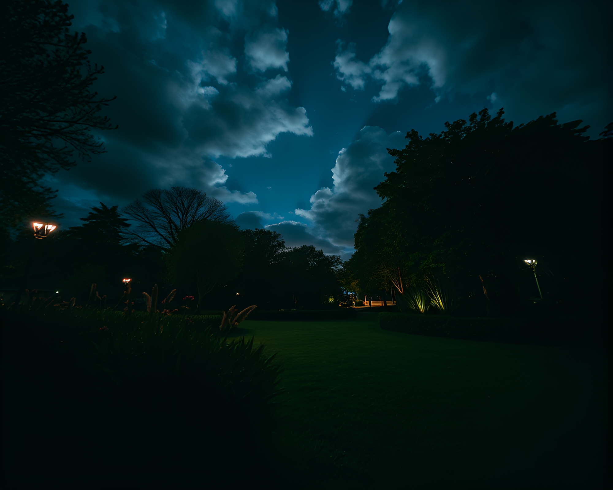 Sky Garden Reflection: Softbox Illumination – free AI stock image