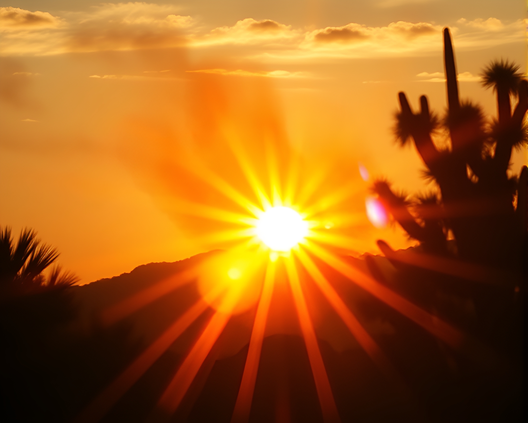 Majestic Phoenix Rising in Lens Sunburst Watercolor – free AI stock image