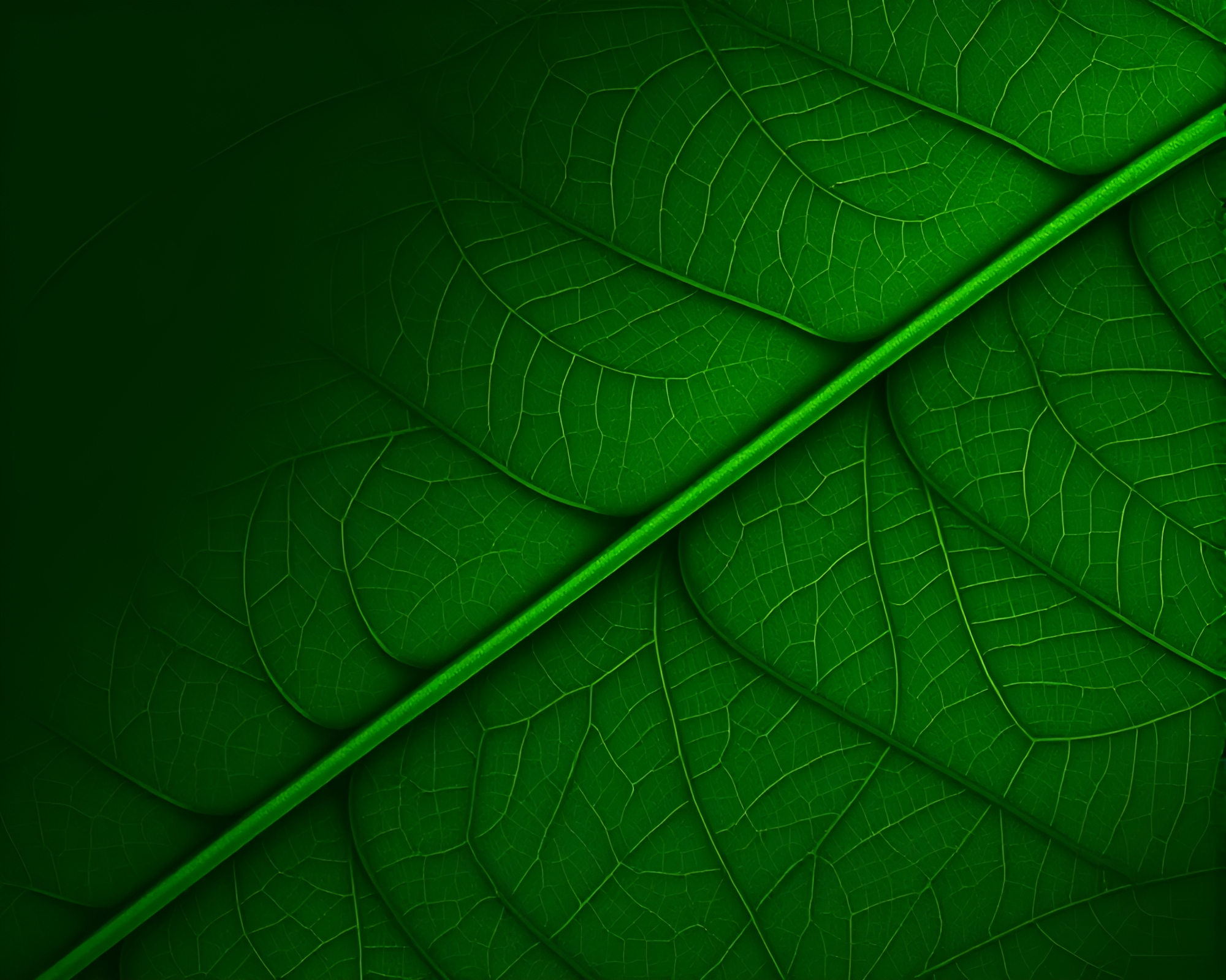 Enchanted Baguette Forest with Leaf Vein Pattern – free AI stock image