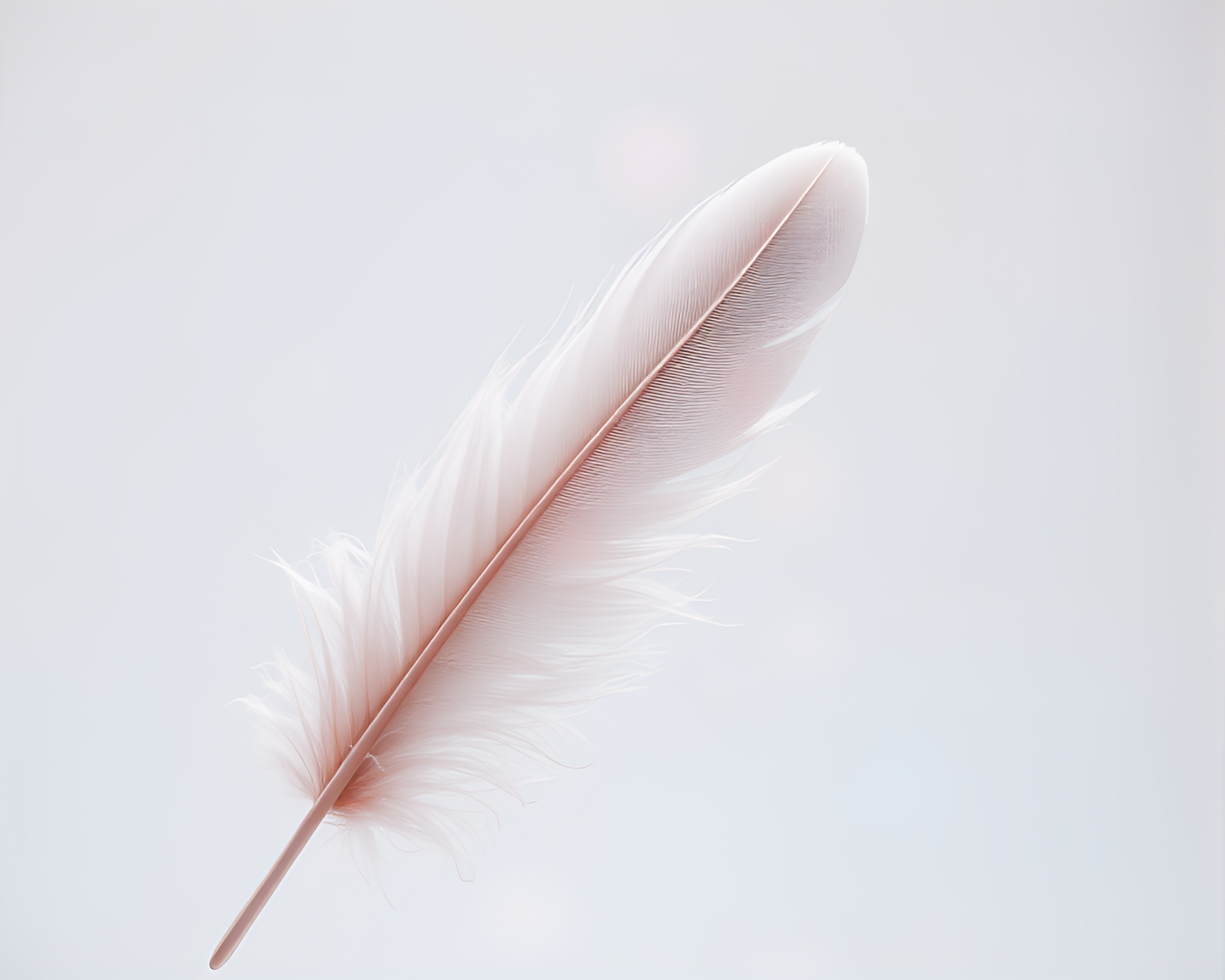 Binary Code Feather Dusting in Soft Pastel Light – free AI stock image