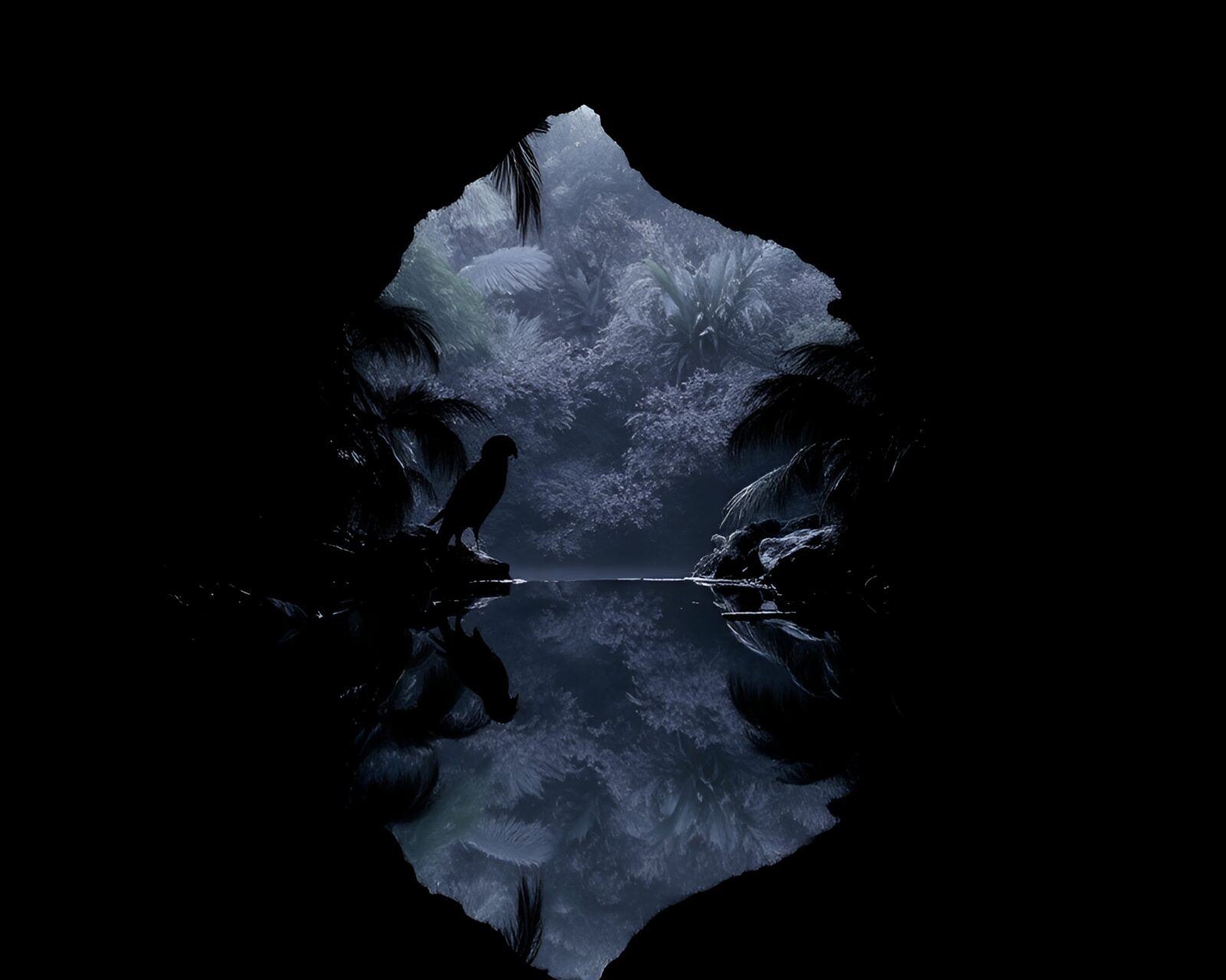 Silhouetted parrot with vibrant duochrome feathers by cave entrance