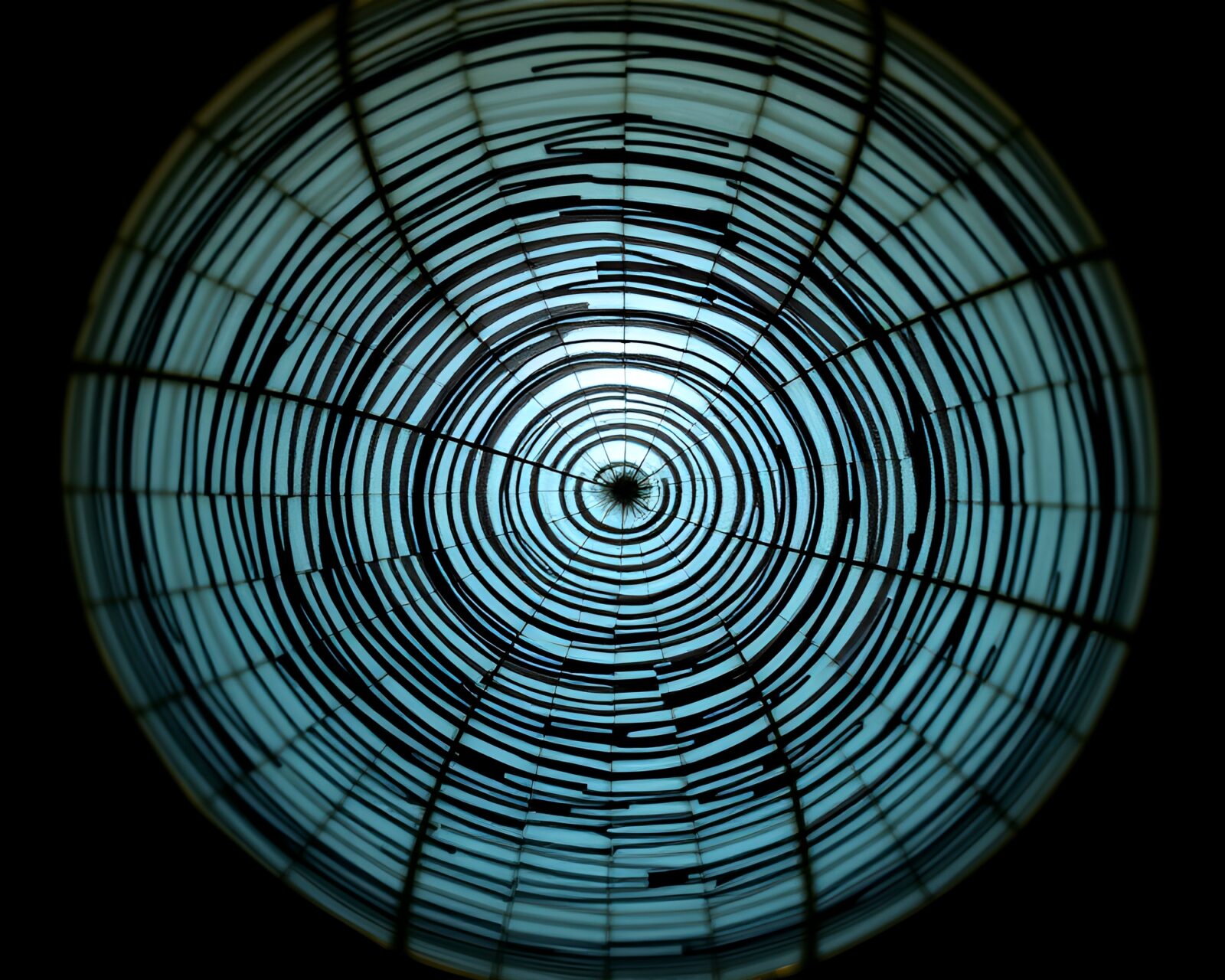 A mystical scene of glowing paper lanterns hanging from tree rings with fireflies around