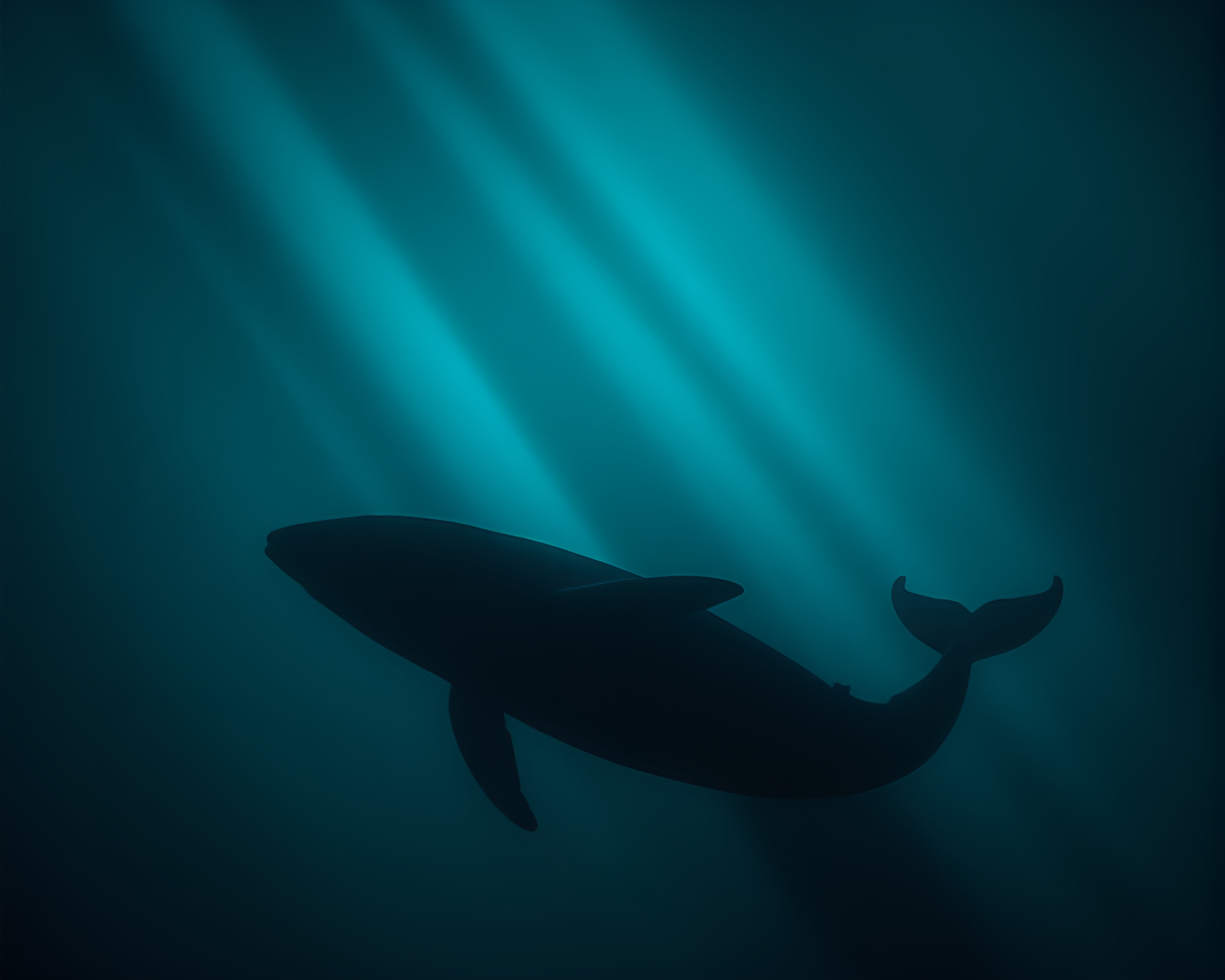 Majestic Whale Shadow Silhouette in Duotone Light Streaks – free AI stock image