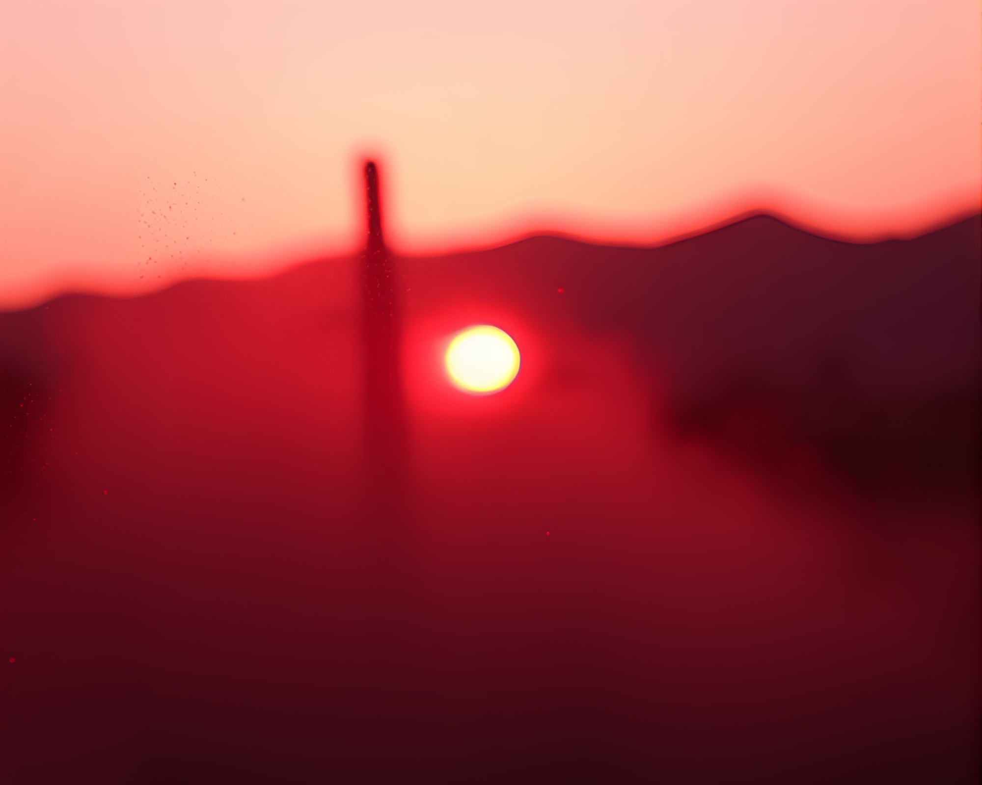 Phoenix Emerges at Sunrise – free AI stock image