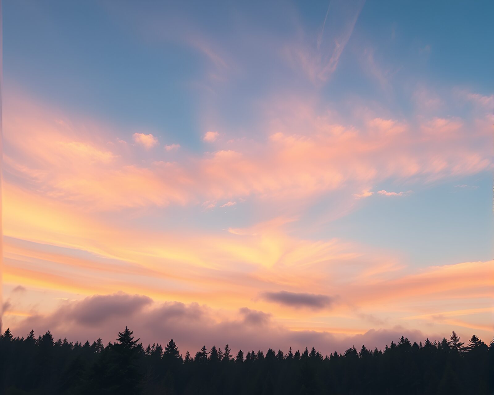 Forest with swirling clouds at sunrise in pastel hues