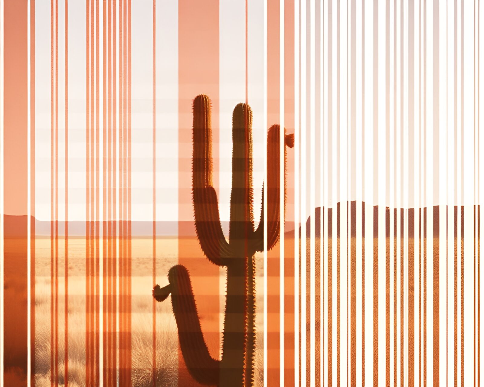 Gritty film collage of barcode stripes entwined with desert cacti