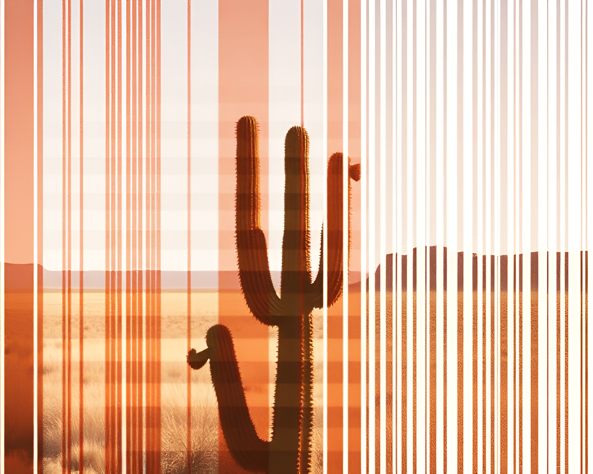 Desert Barcode Stripe Collage: Cactus Desert Dream – free AI stock image