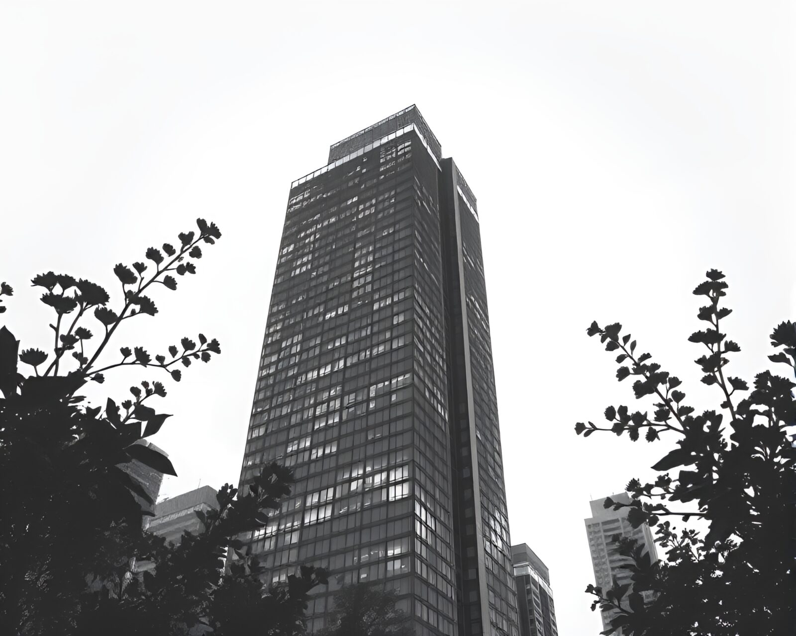 Graphite gray skyscraper towering over botanical illustrations in shadow