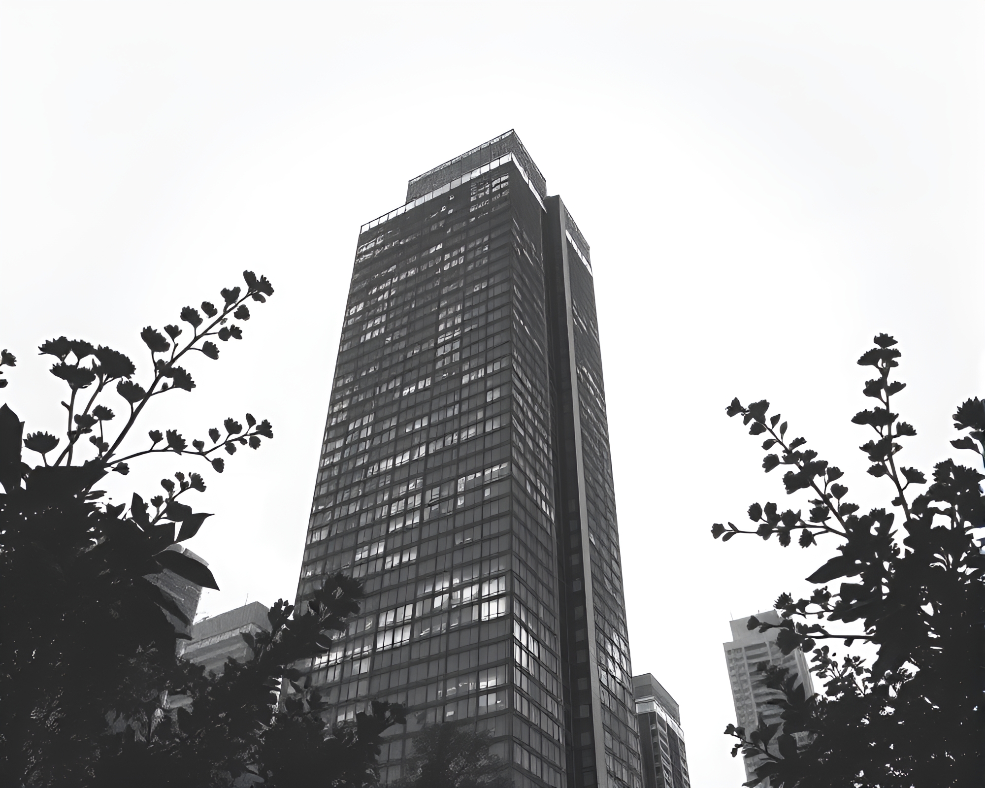 Skyscraper Botanical Shadow Play – free AI stock image