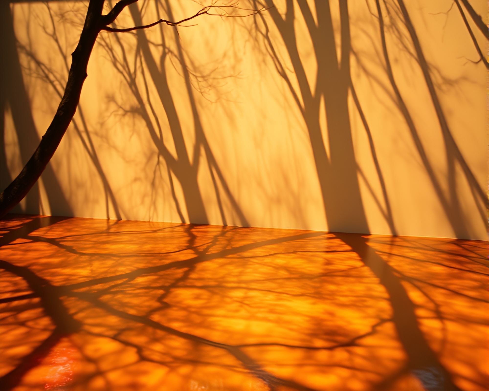 Surreal Hot Spring Stencil Shadows Fantasy – free AI stock image