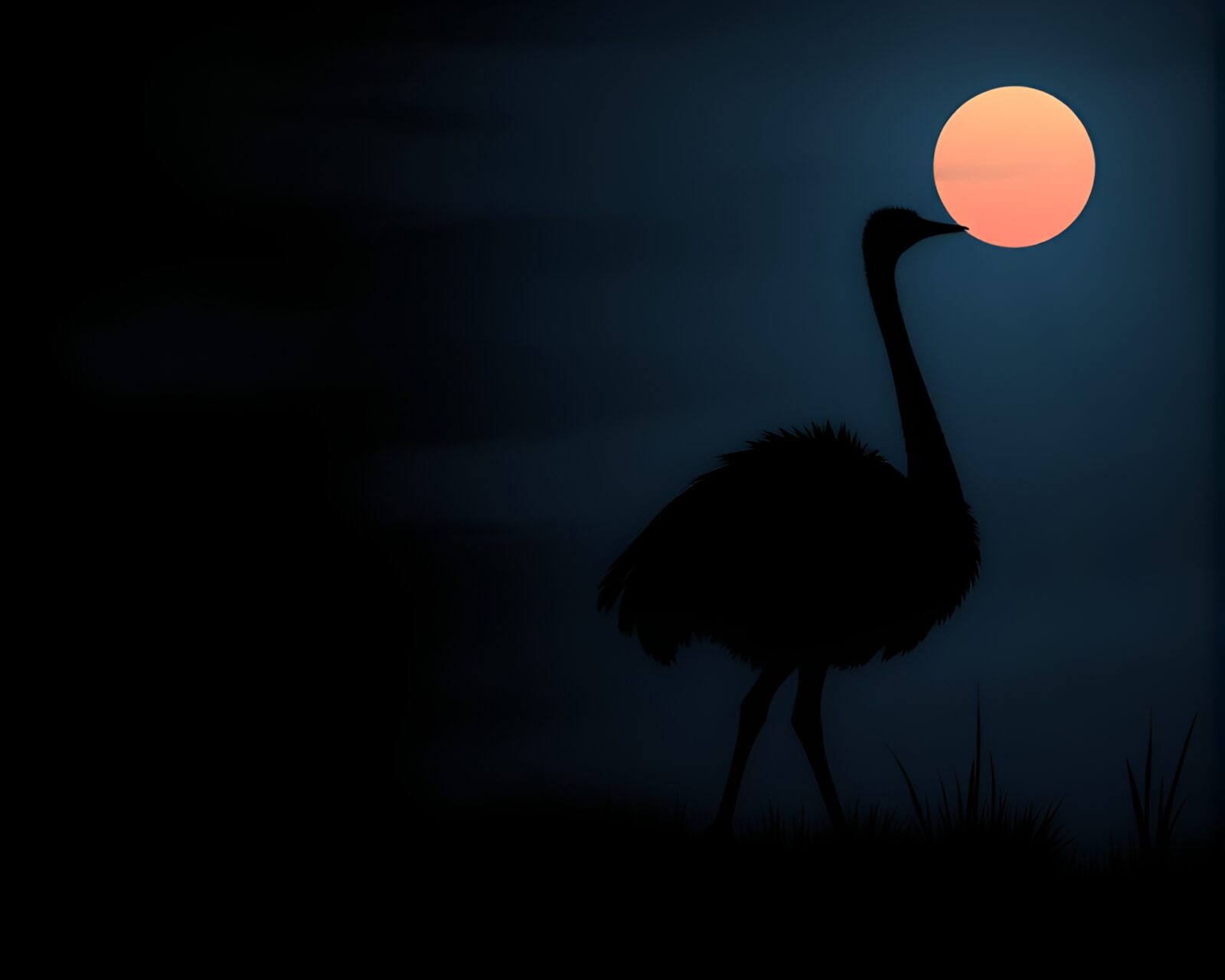 Flat design ostrich in twilight setting with chalkboard smudges