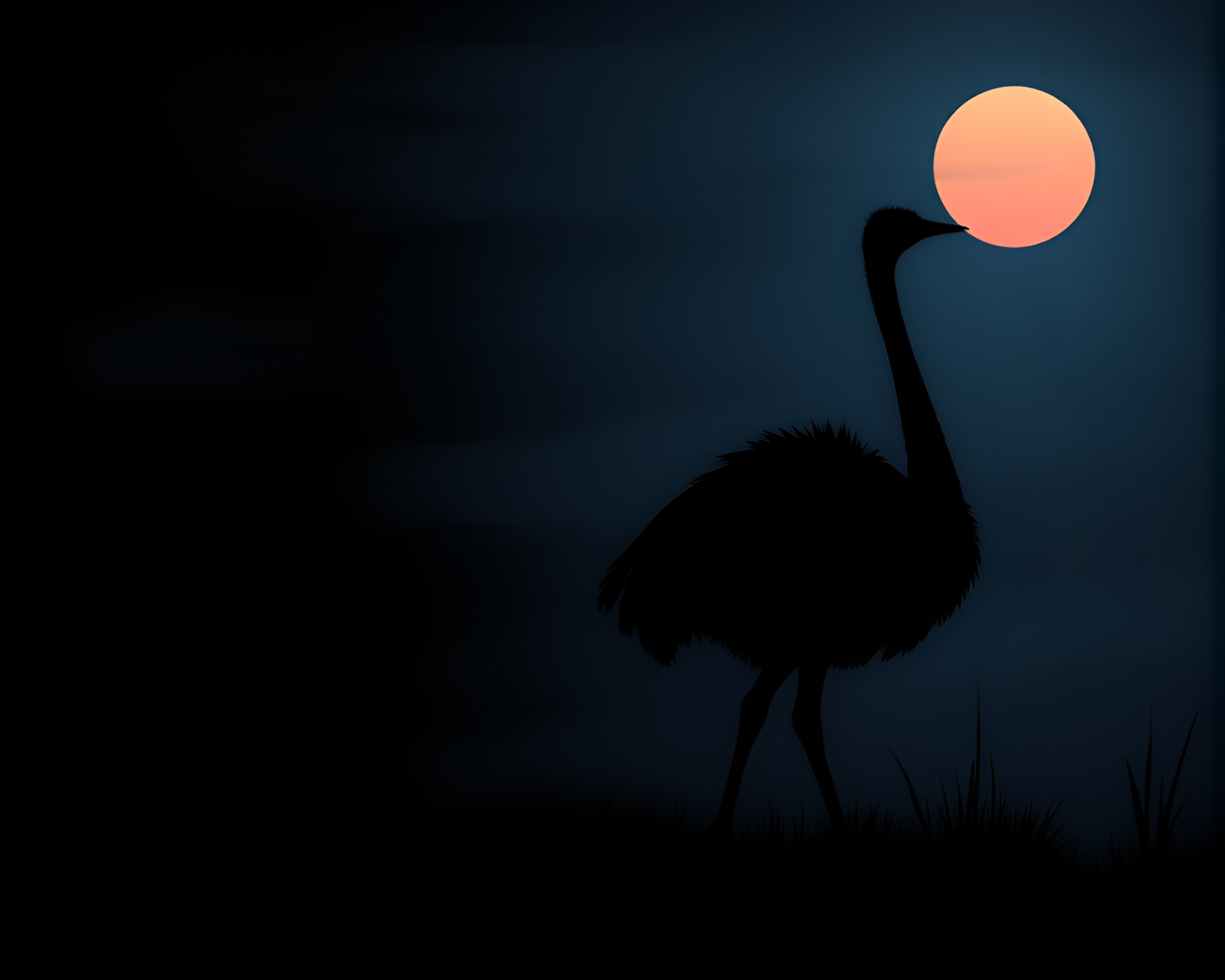 Twilight Ostrich Chalkboard Art – free AI stock image