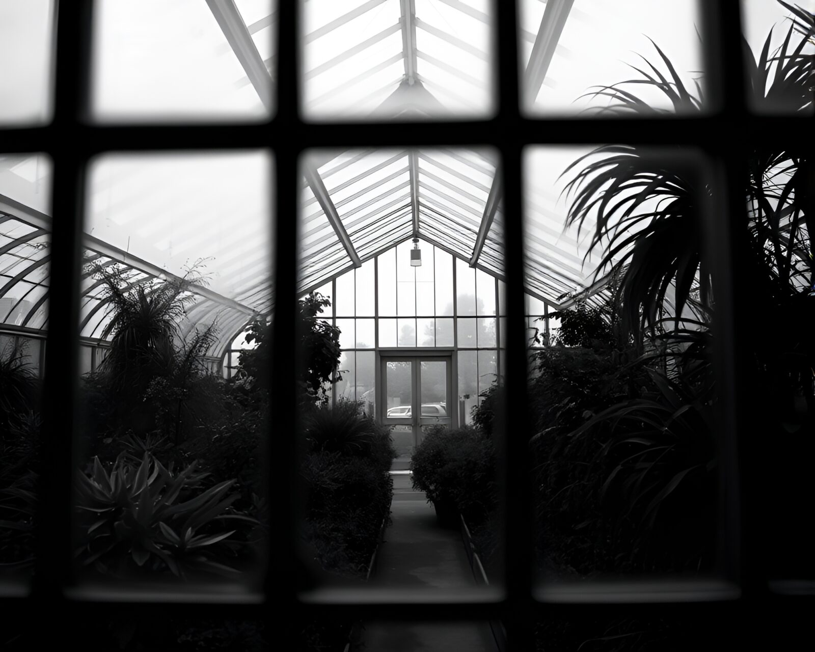 Desaturated image of a glass greenhouse with selective color accents