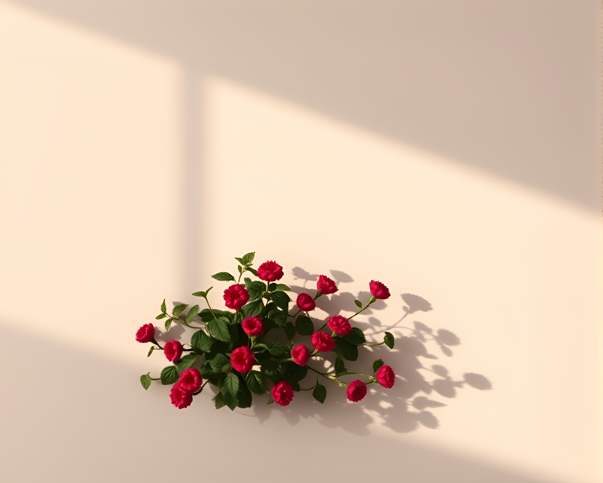 Raspberry Bush Origami Shadow Silhouette – free AI stock image
