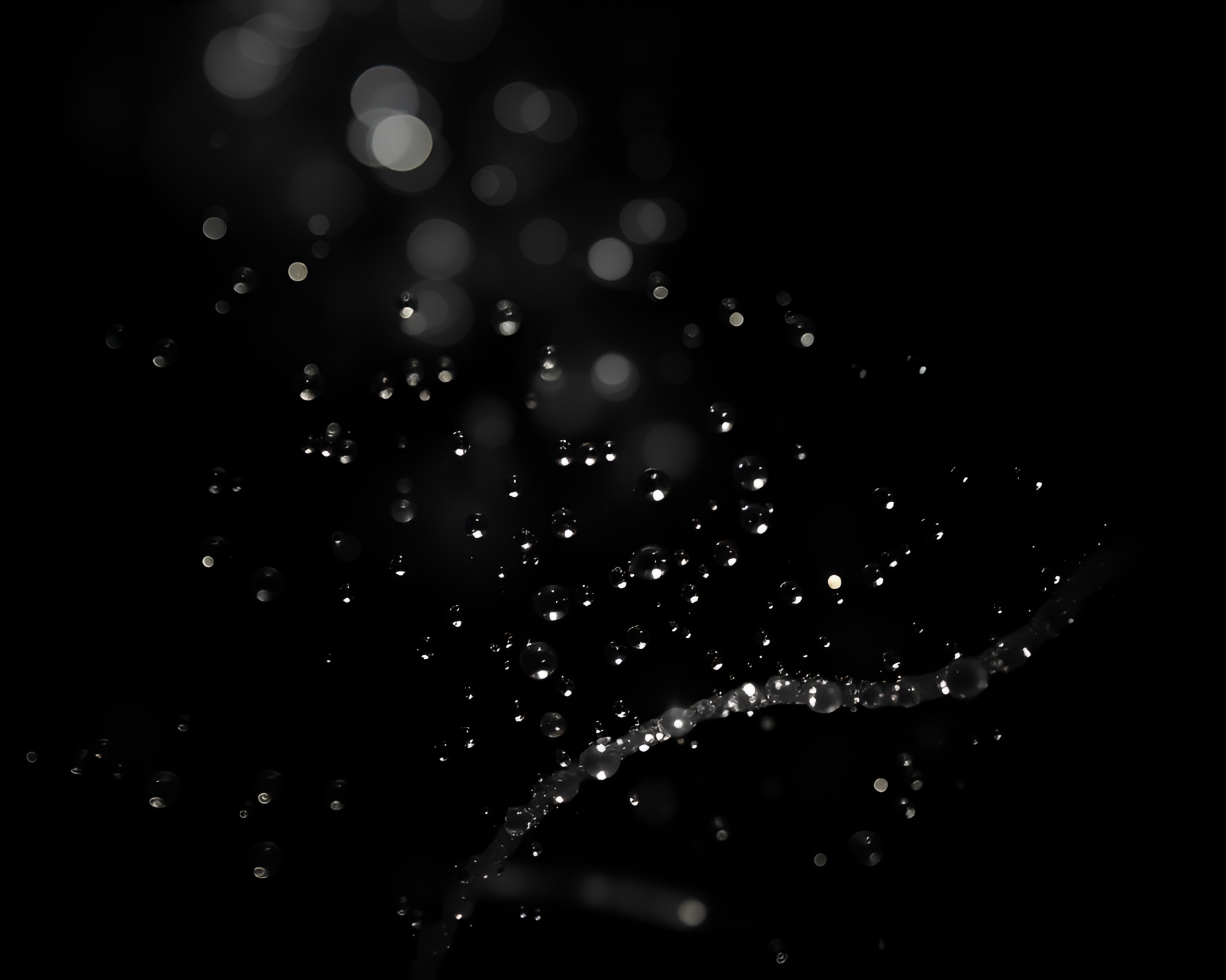 Dew Drops on Holographic Display – free AI stock image