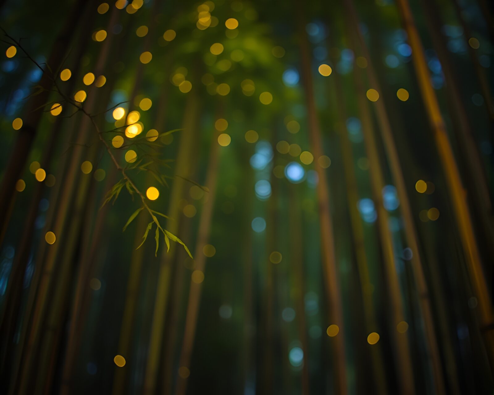 A serene scene of feather dusting in a bamboo grove with bokeh lights, rendered in lithography style