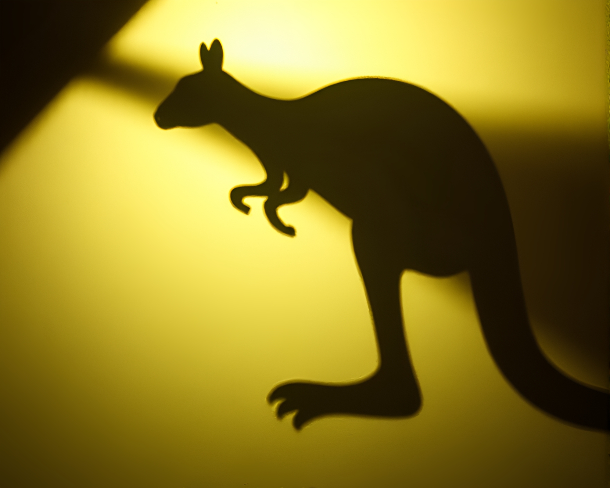 Urban Kangaroo Silhouette at Dusk – free AI stock image