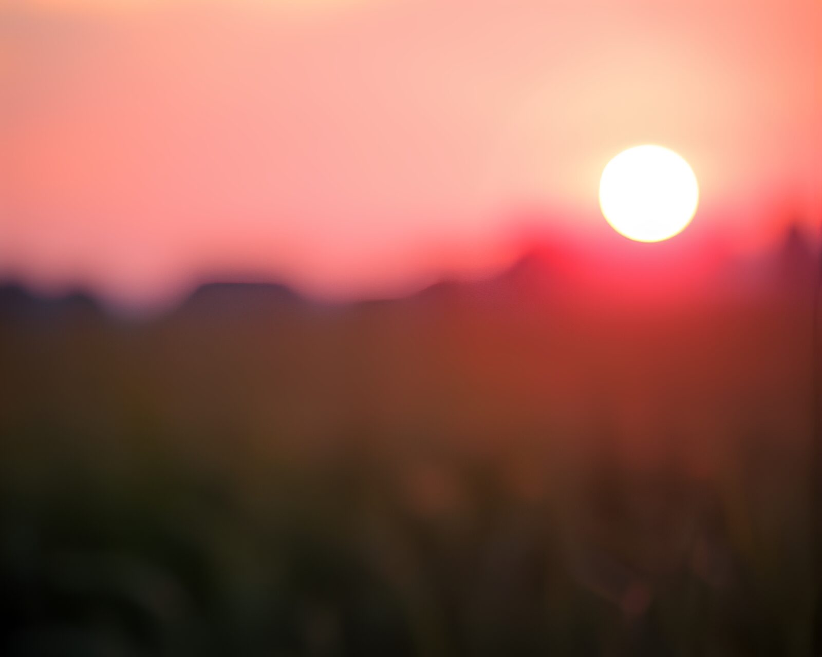 Softly focused image of a trumpet player at sunrise