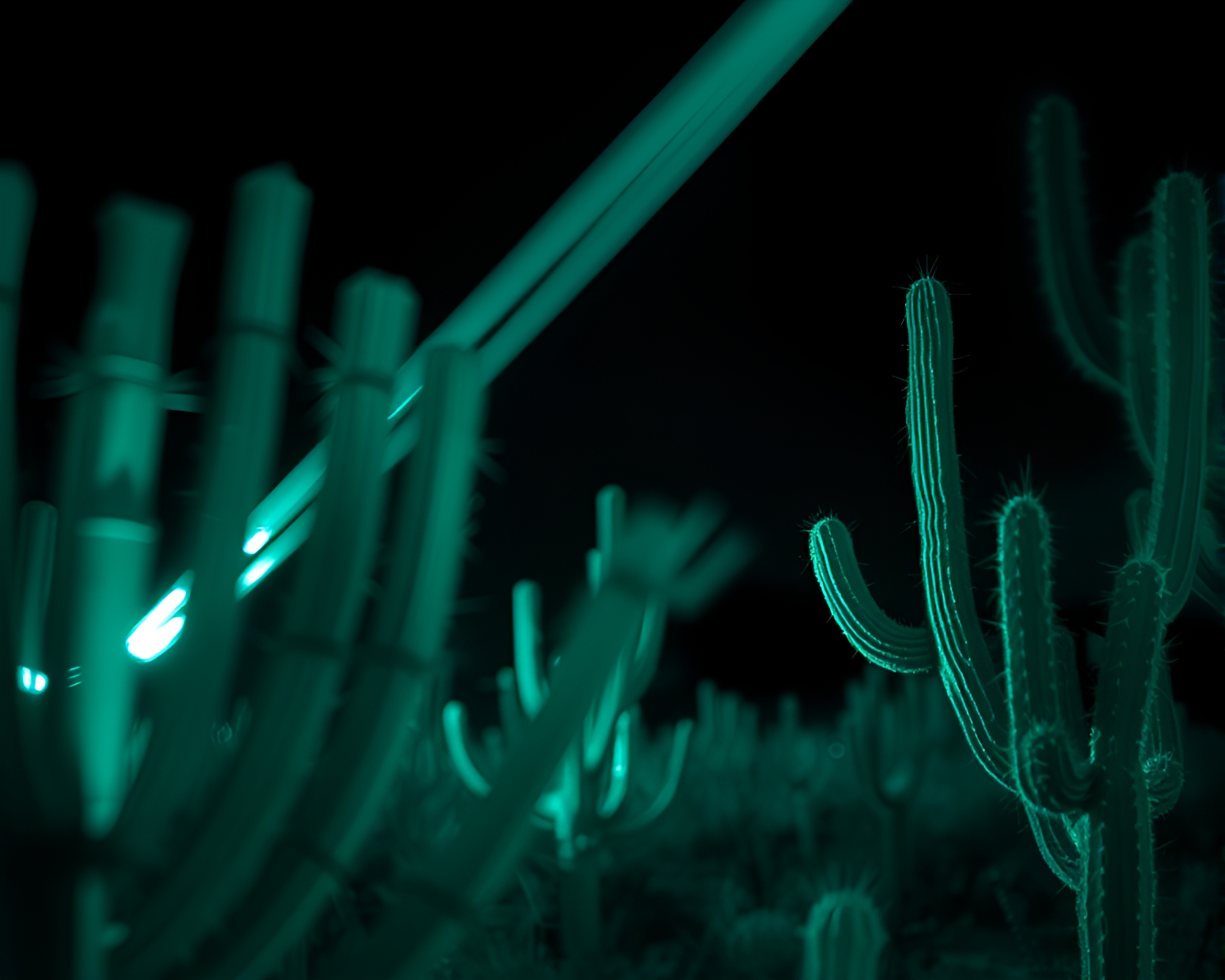 Glass Distortion: Desert Cactus Monochrome Fantasy – free AI stock image