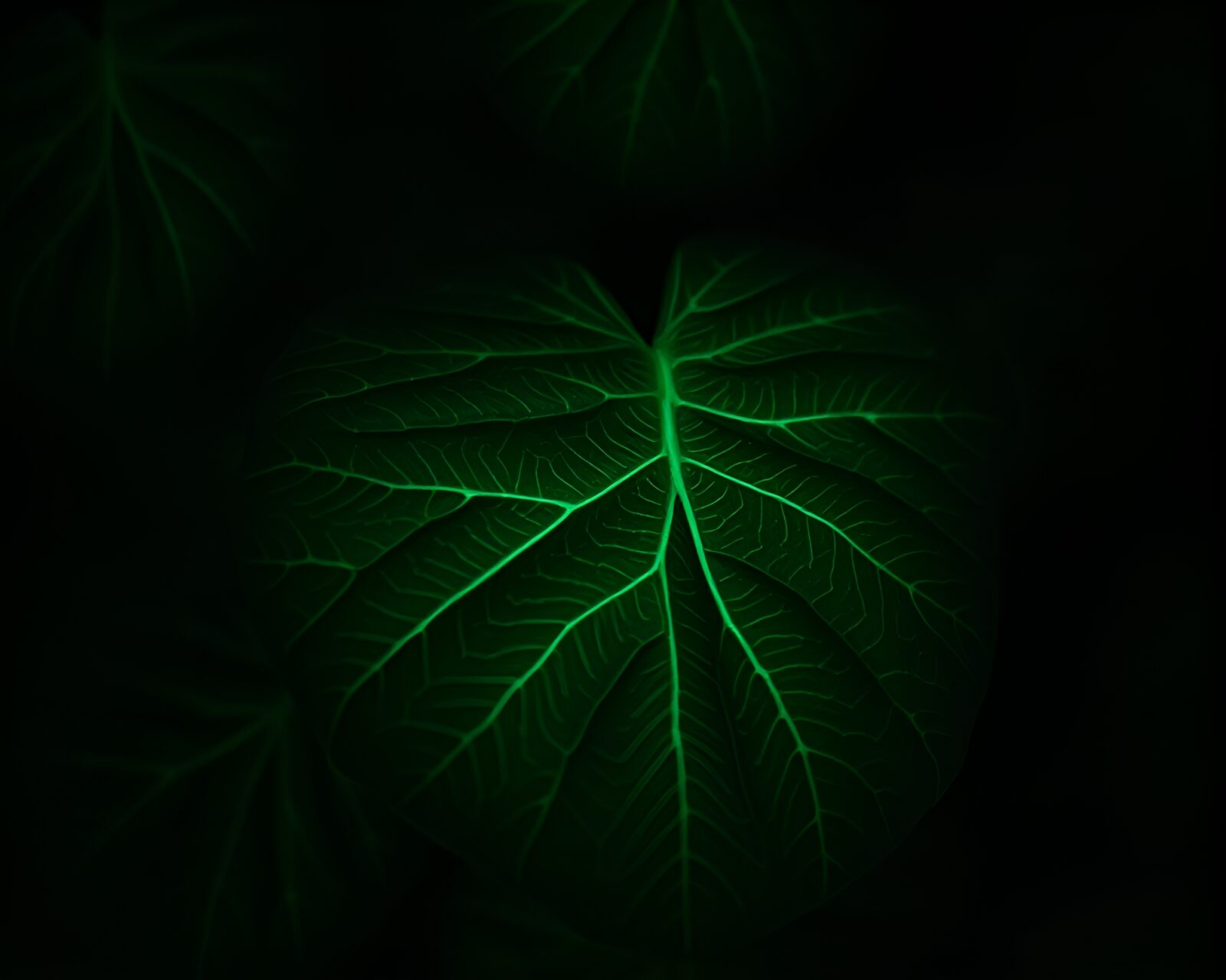 Magical nymph surrounded by intricate mint green leaf patterns