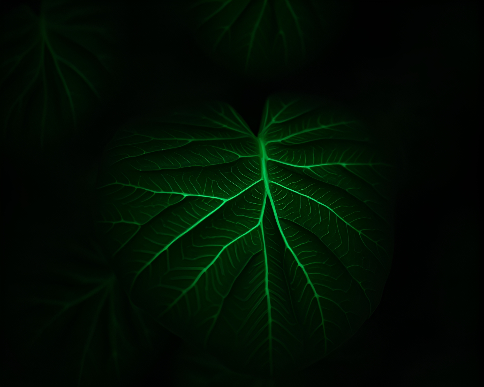 Ethereal Nymph amid Mint Green Leaf Veins Light Painting – free AI stock image