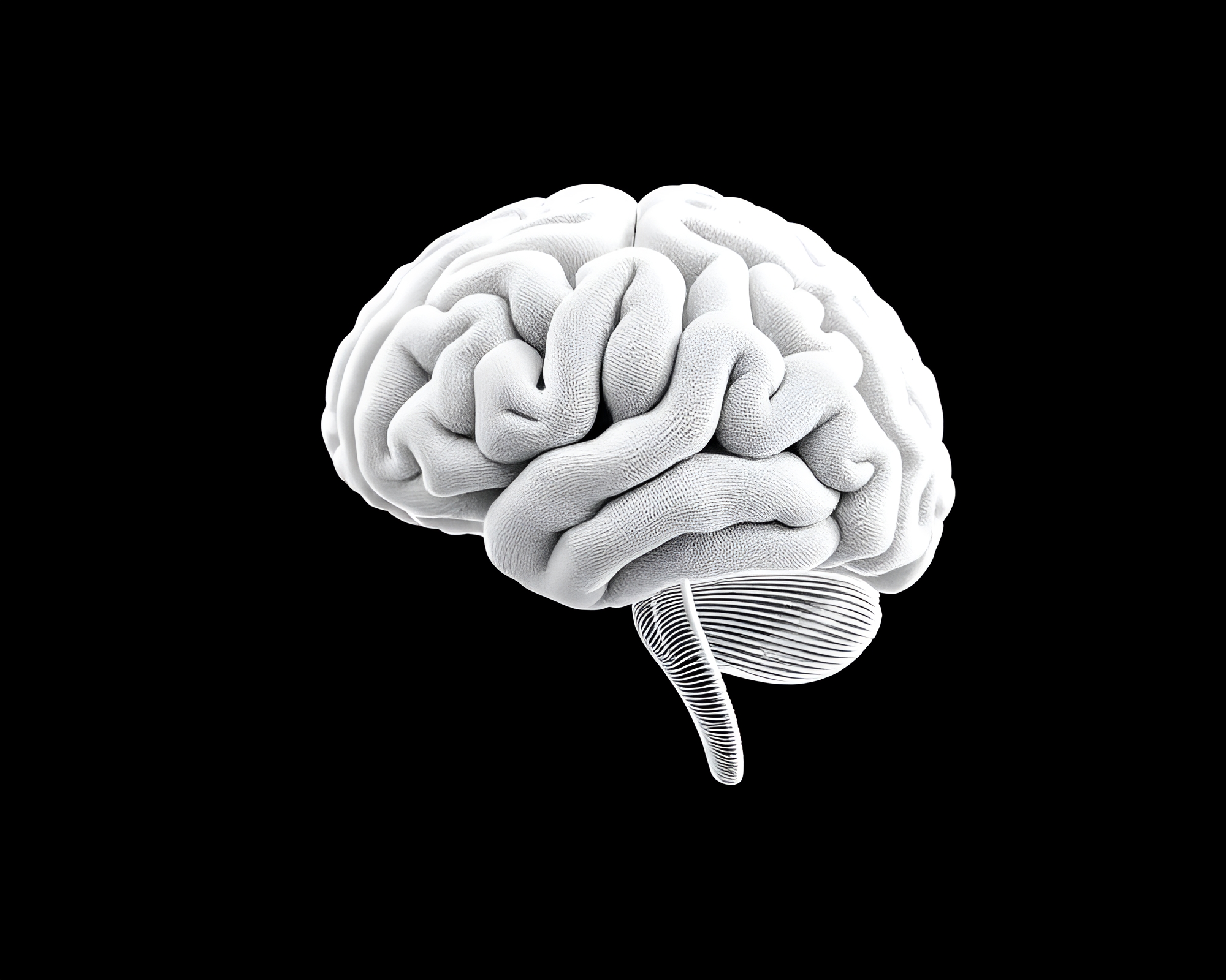 Futuristic AI Brain in Ivory White Cloth Simulation – free AI stock image