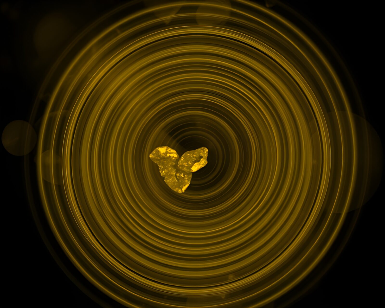Concentric circles in x-ray style over river scenery