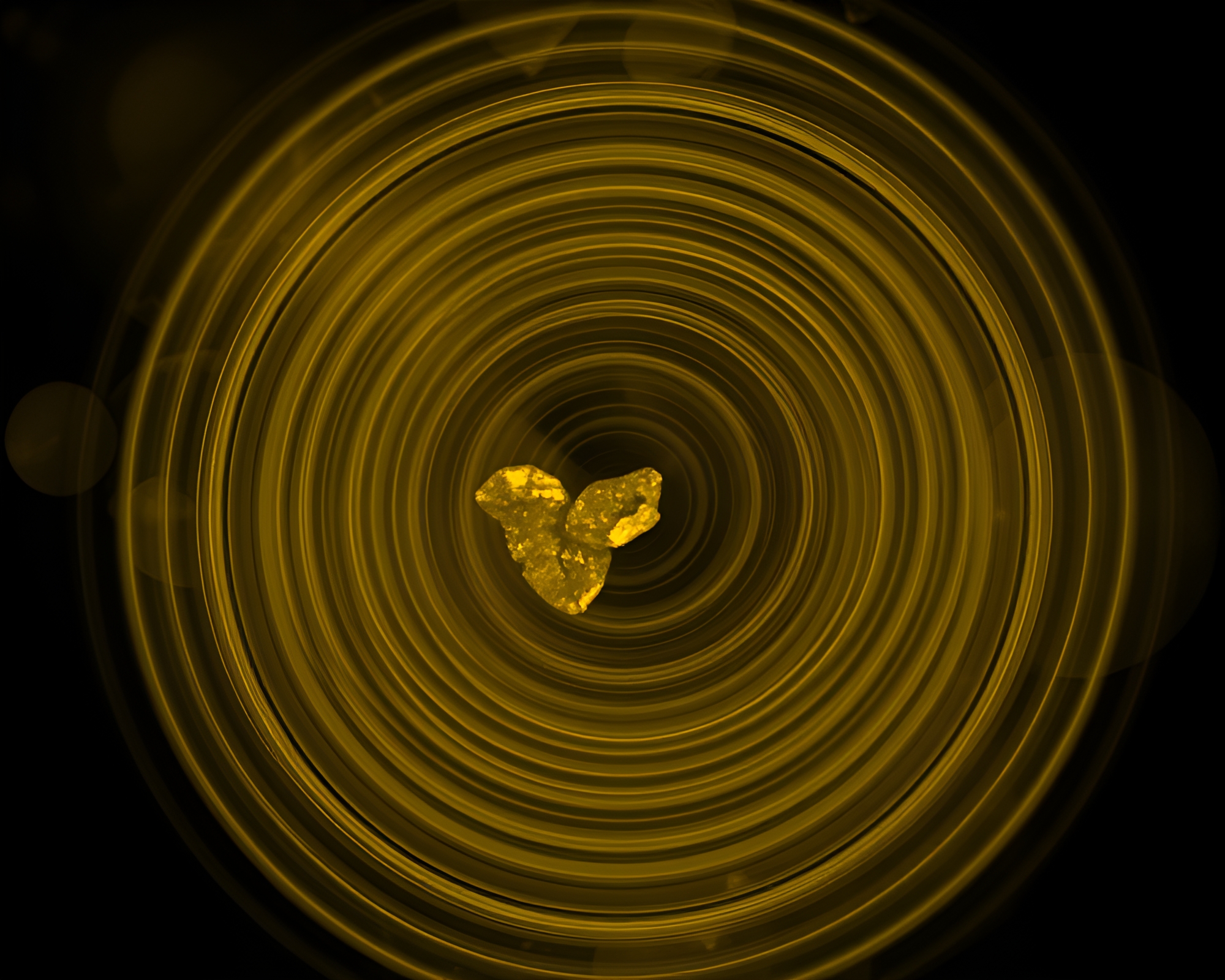 Savage River Monochrome Yellow X-Ray Art – free AI stock image