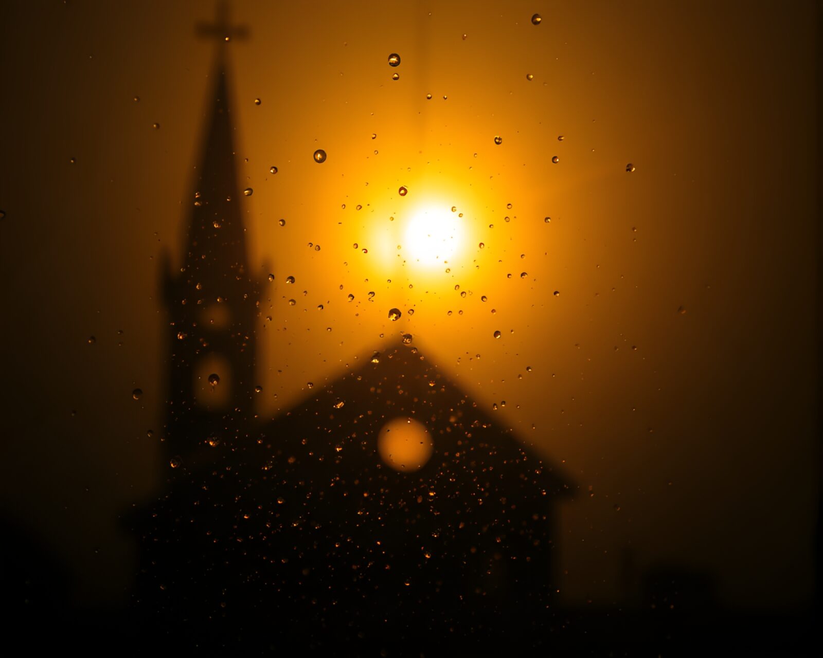 Backlit silhouette with dew drops glistening in candlelight