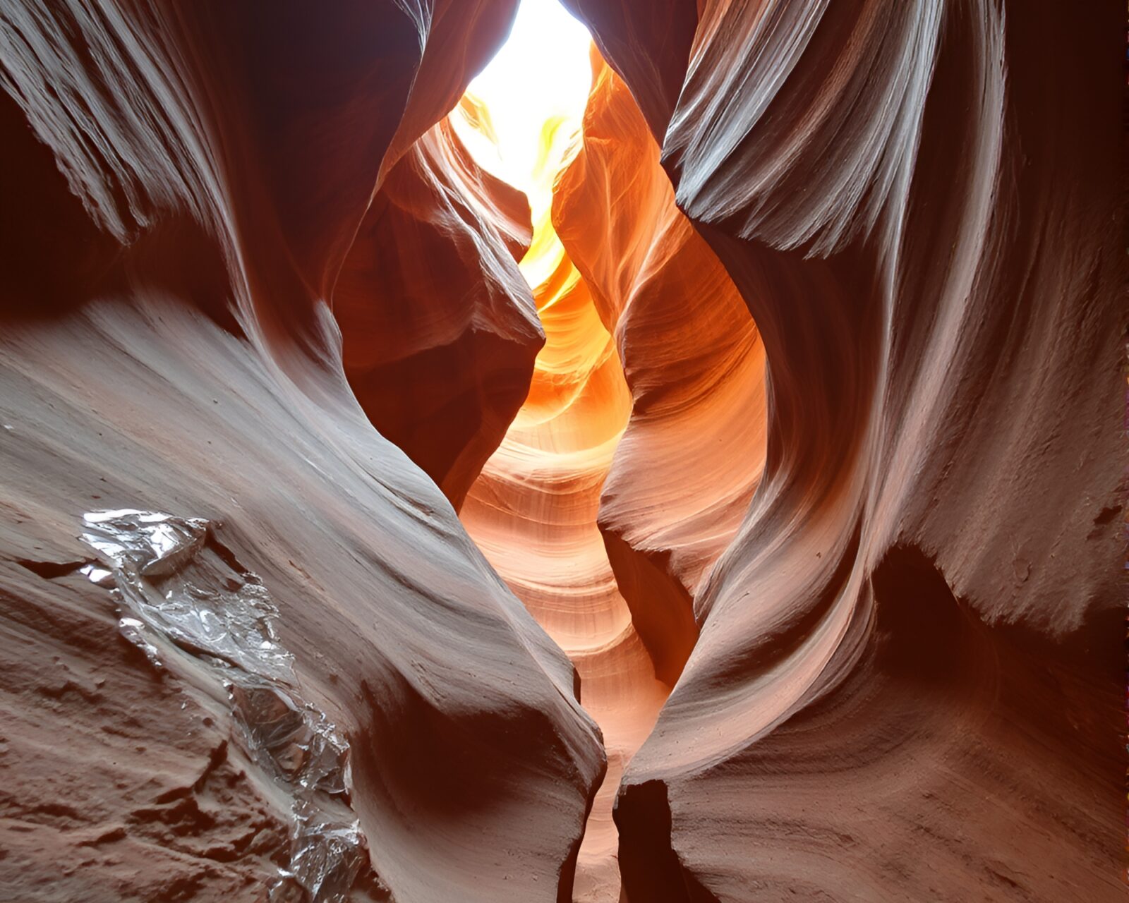 A serene sloth basking in rust-toned canyon light