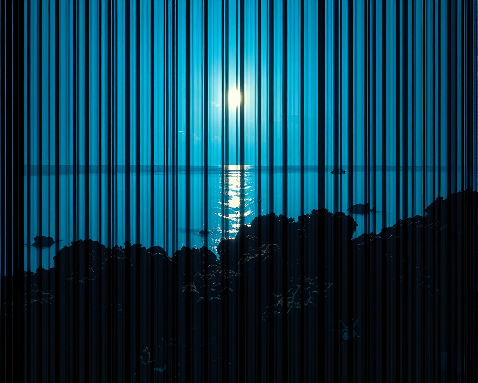 Macro photo of coral atoll under theatrical lighting with barcode stripe