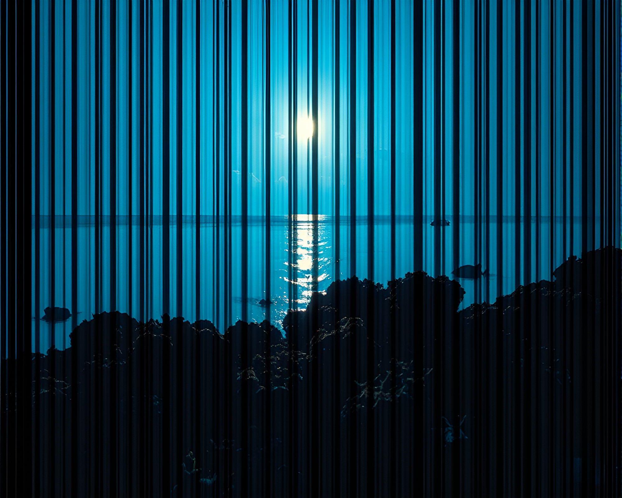 Coral Atoll Barcode: Theater of the Sea – free AI stock image