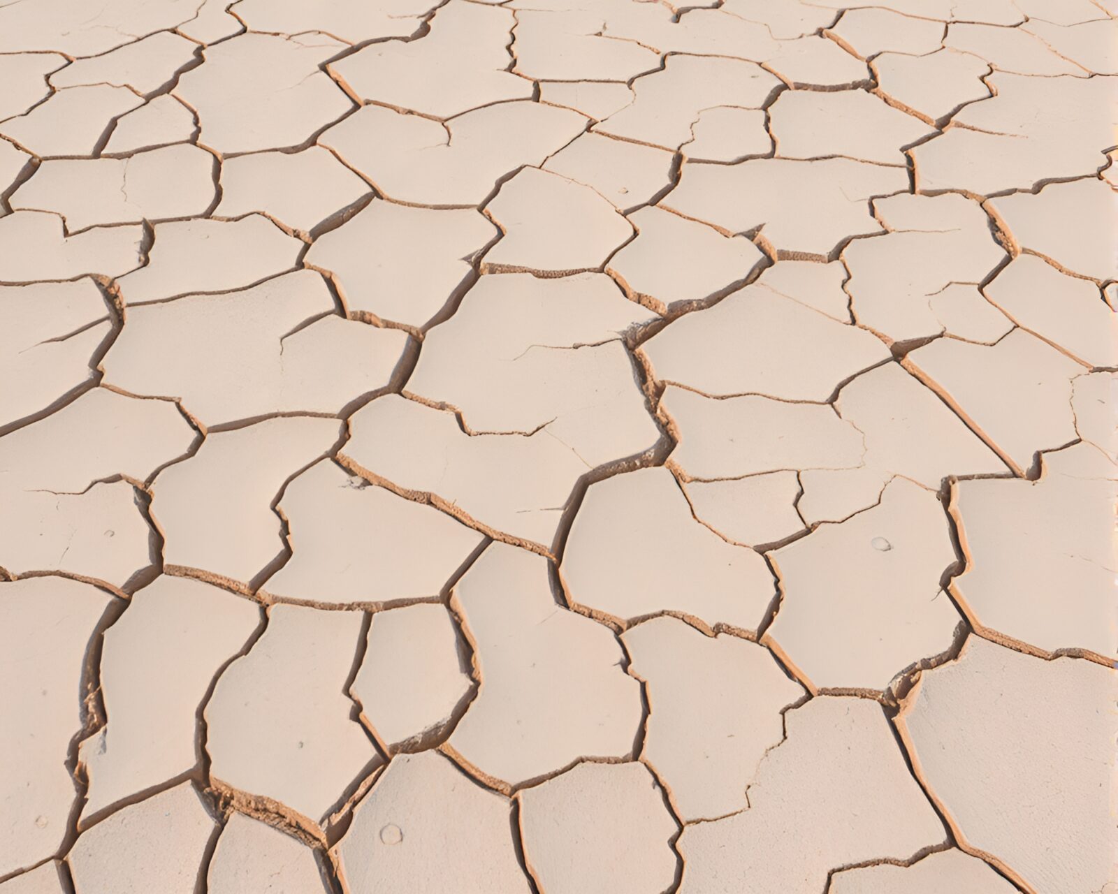 90s grunge-style image of a pastel-toned sand dune on cracked earth