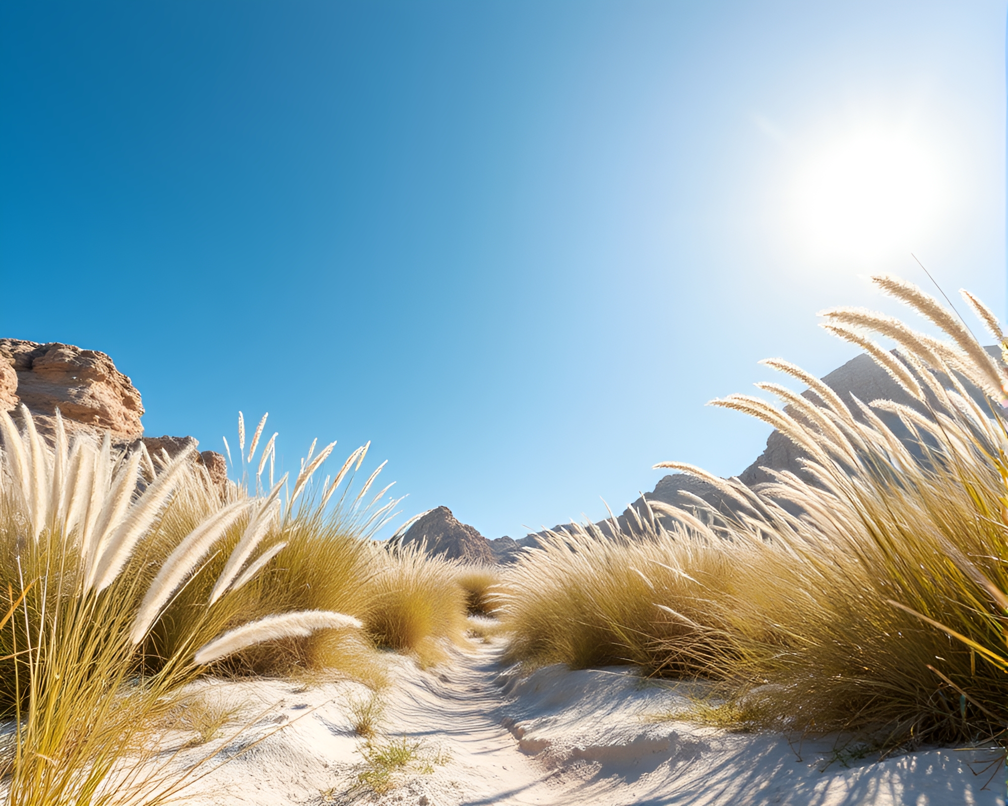 Desert Oasis Through Calm Weaves – free AI stock image