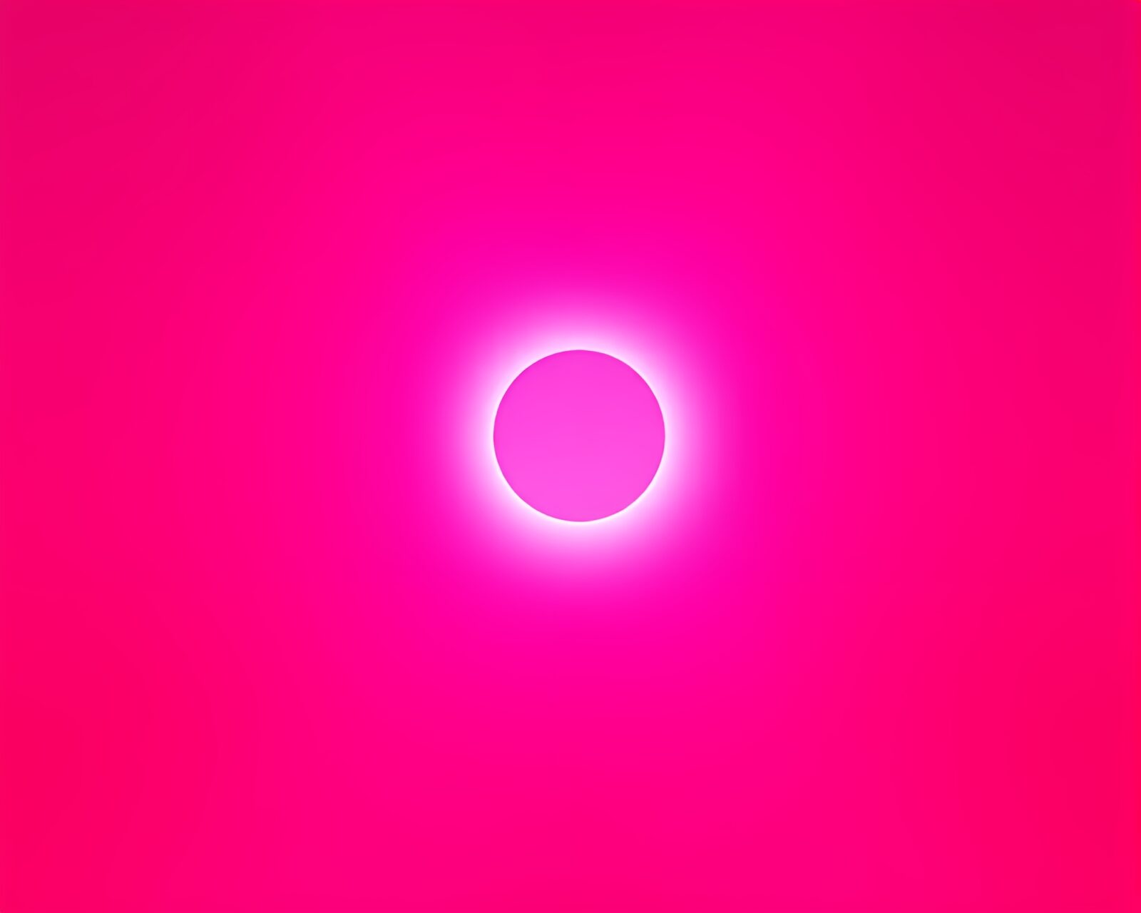 Magenta-hued cinemagraph of solar eclipse casting stencil shadows
