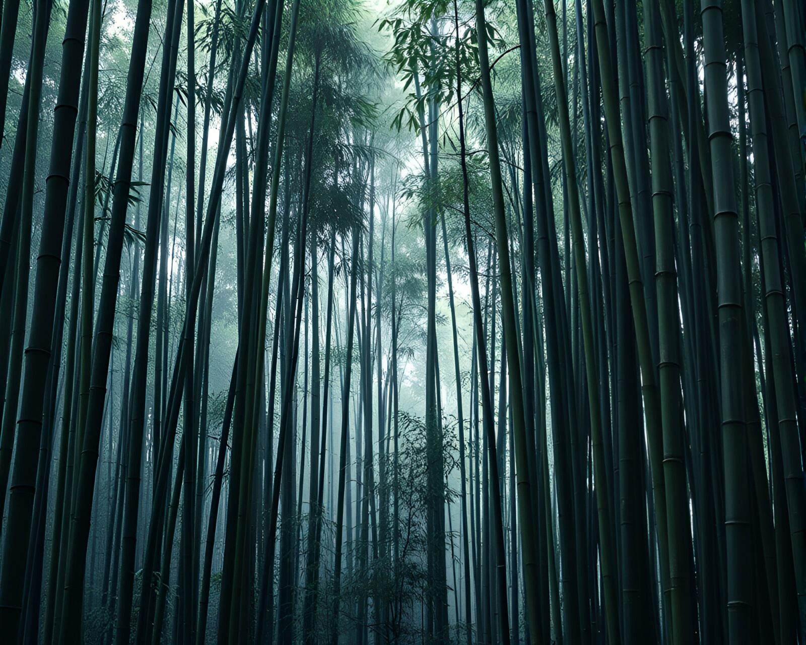 Intricate geometric bamboo grove shrouded in mysterious mist