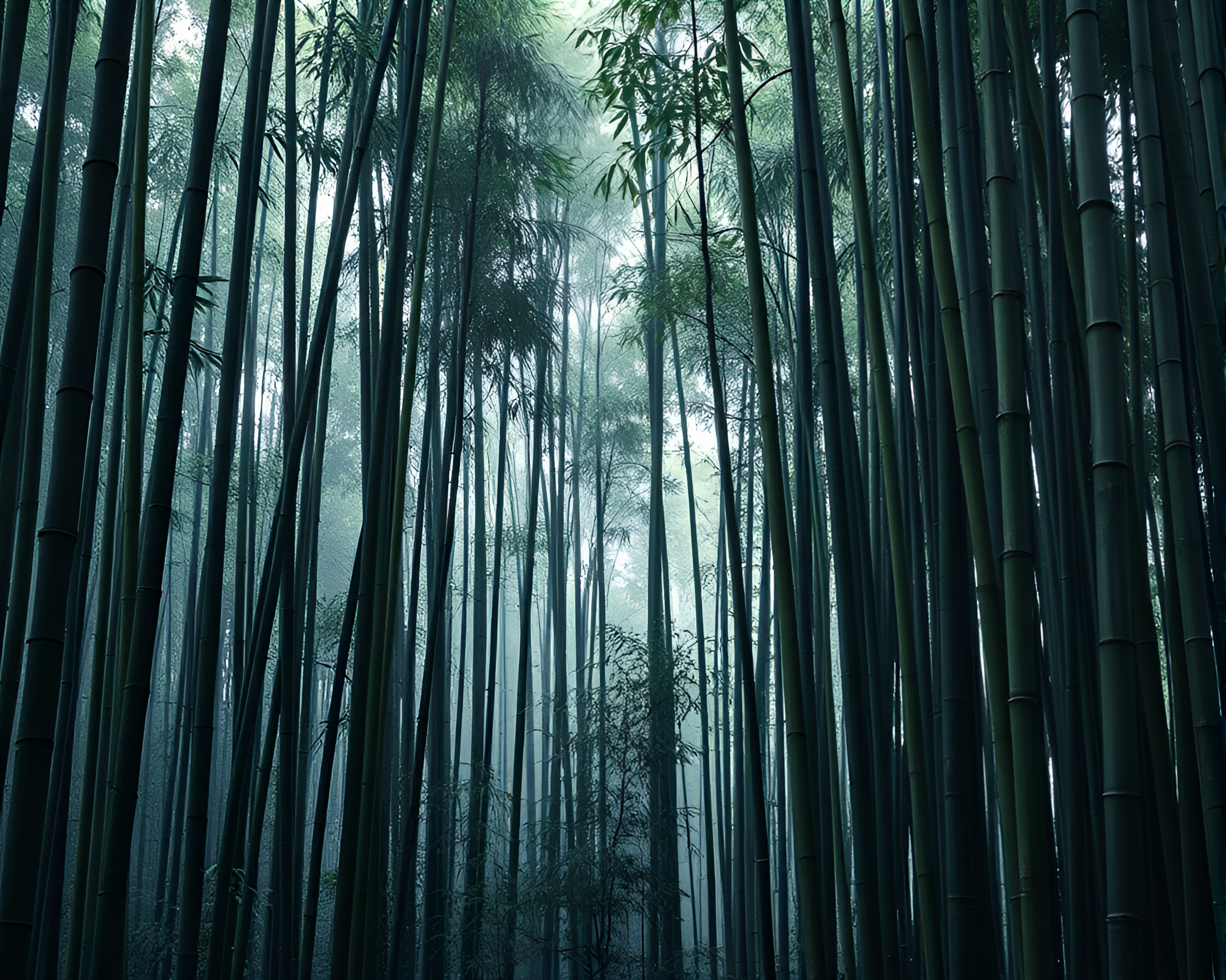 Enigmatic Bamboo Grove in Misty Geometry – free AI stock image