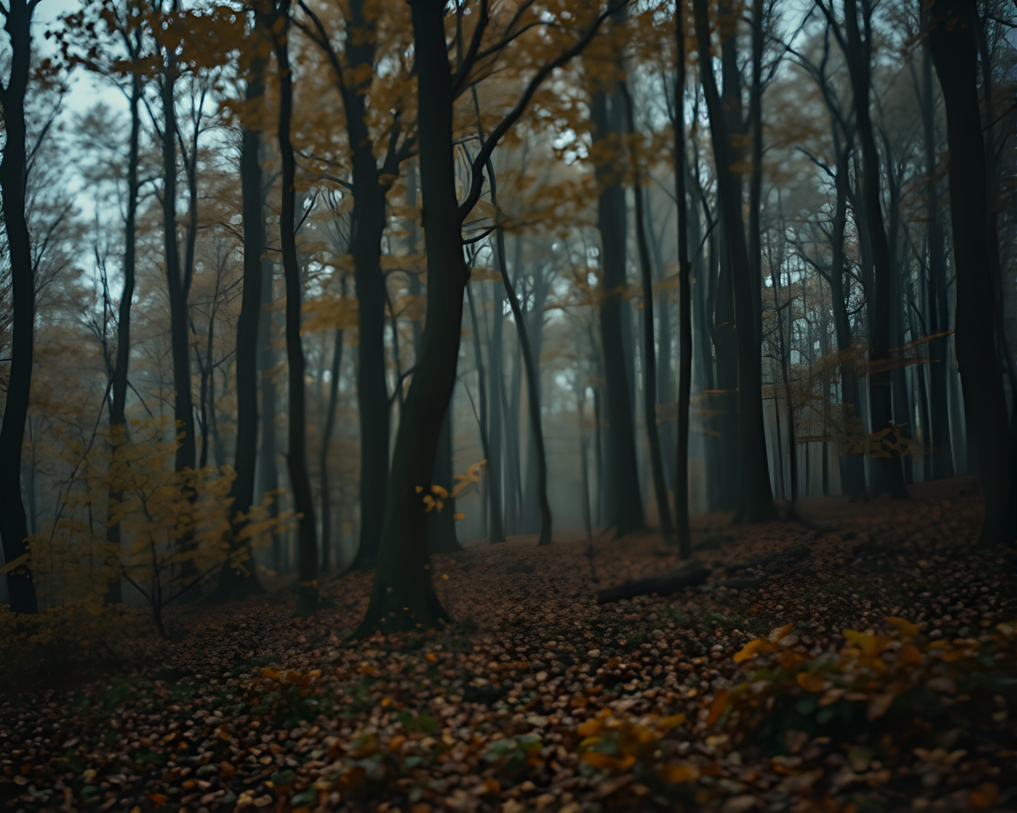 Autumn Forest Pointillism Mildew Art – free AI stock image