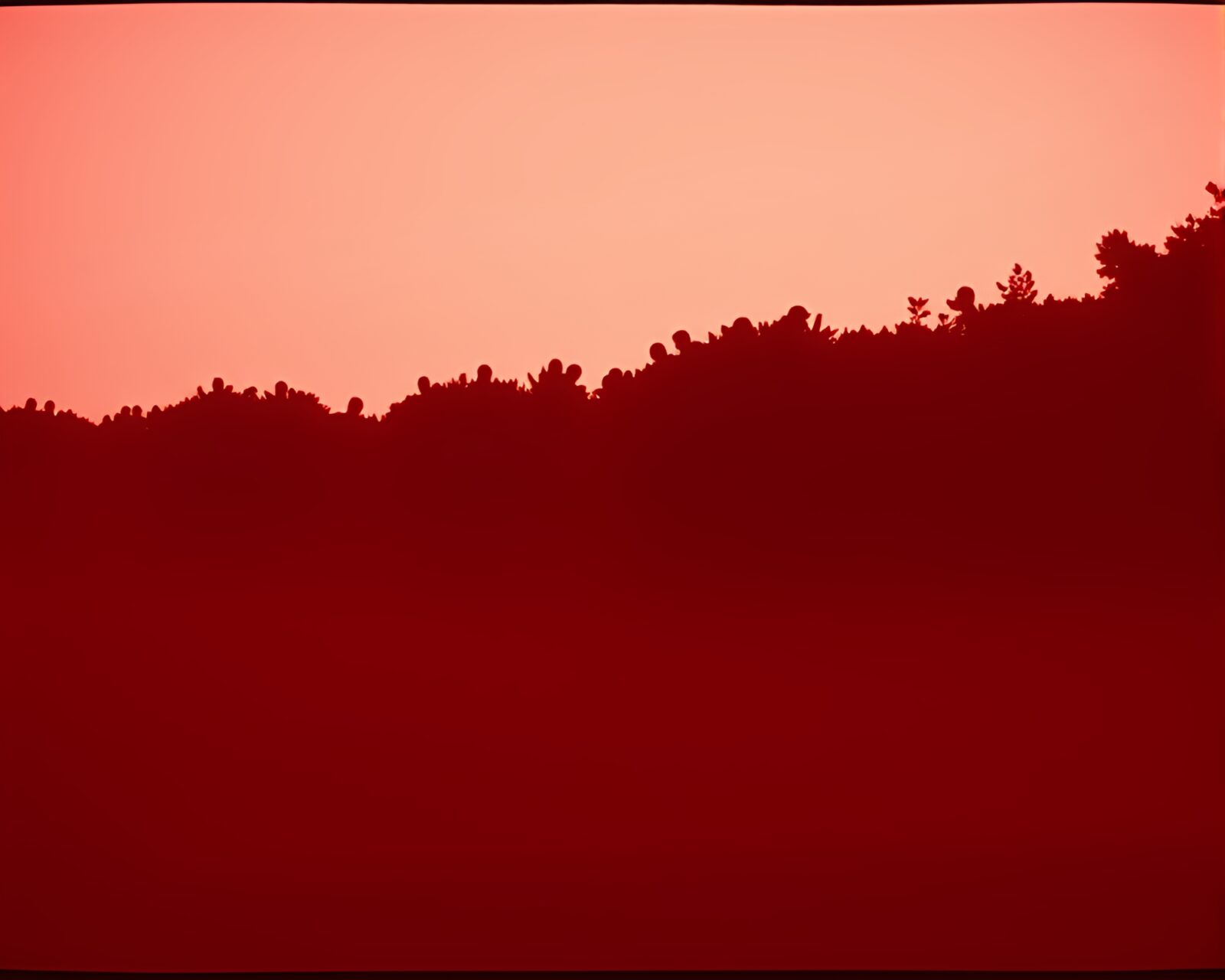 Dark crowd shadow behind vibrant raspberry bush under moonlight