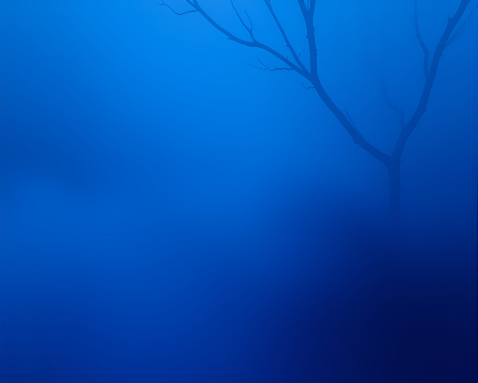 A serene scene of a panda in drifting fog