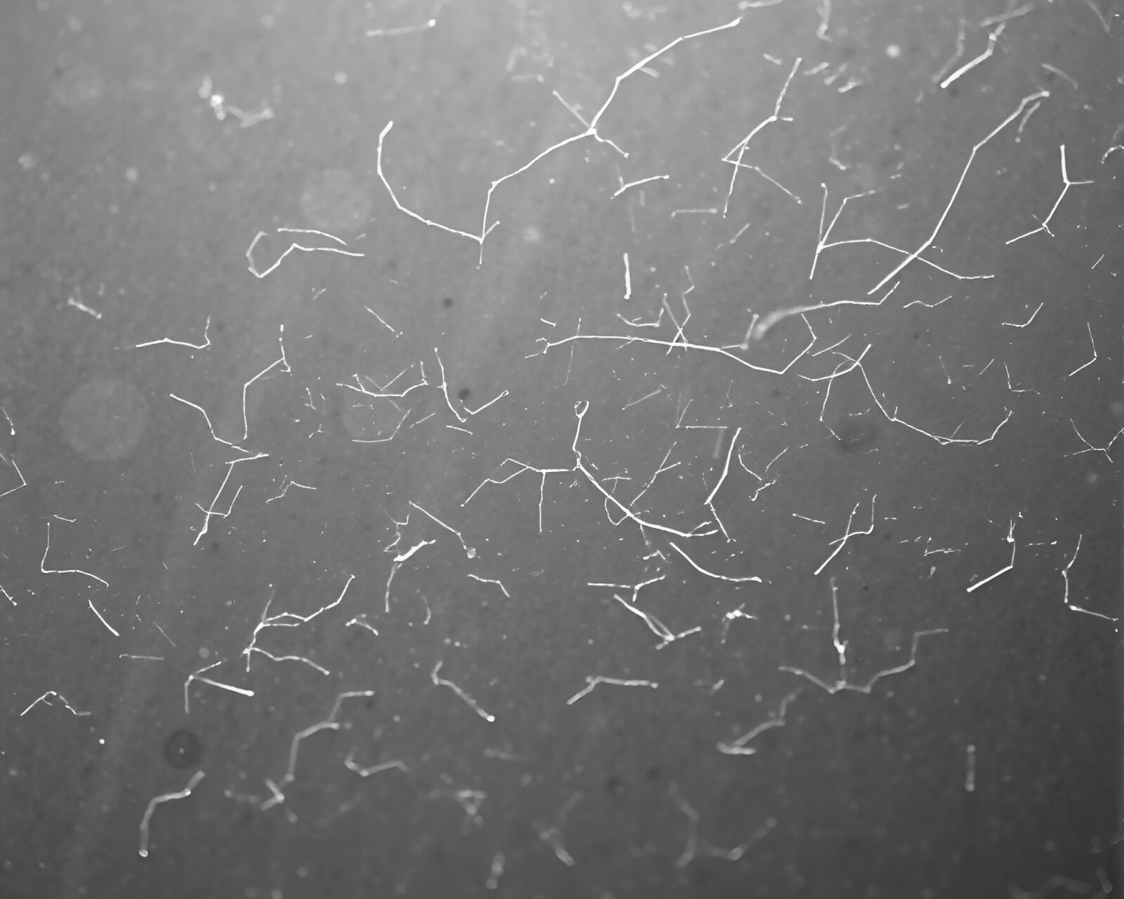 Abstract image of misty air surrounding intricate microscope view