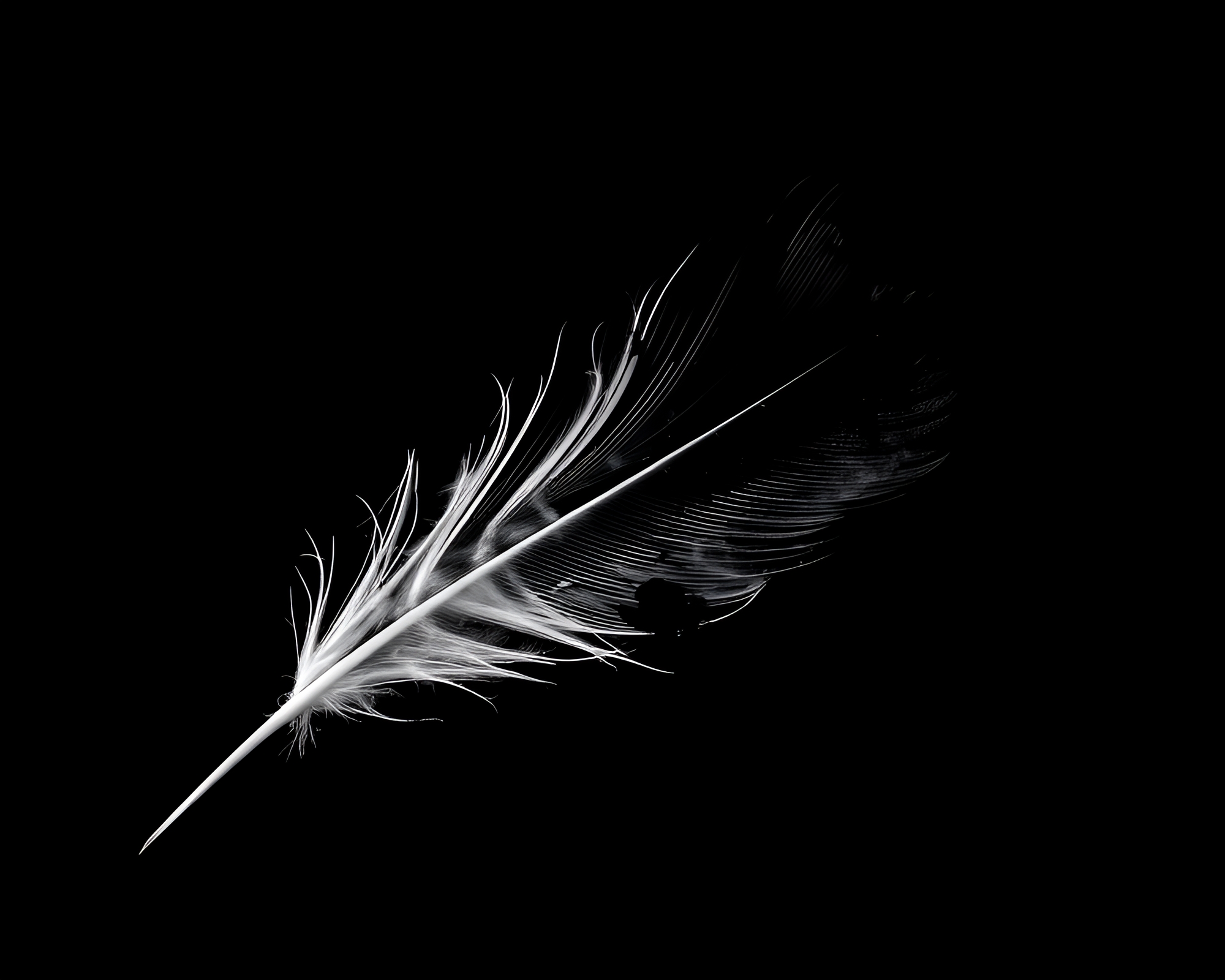 Ink Calligraphy Feather Dusting Noir Scene – free AI stock image