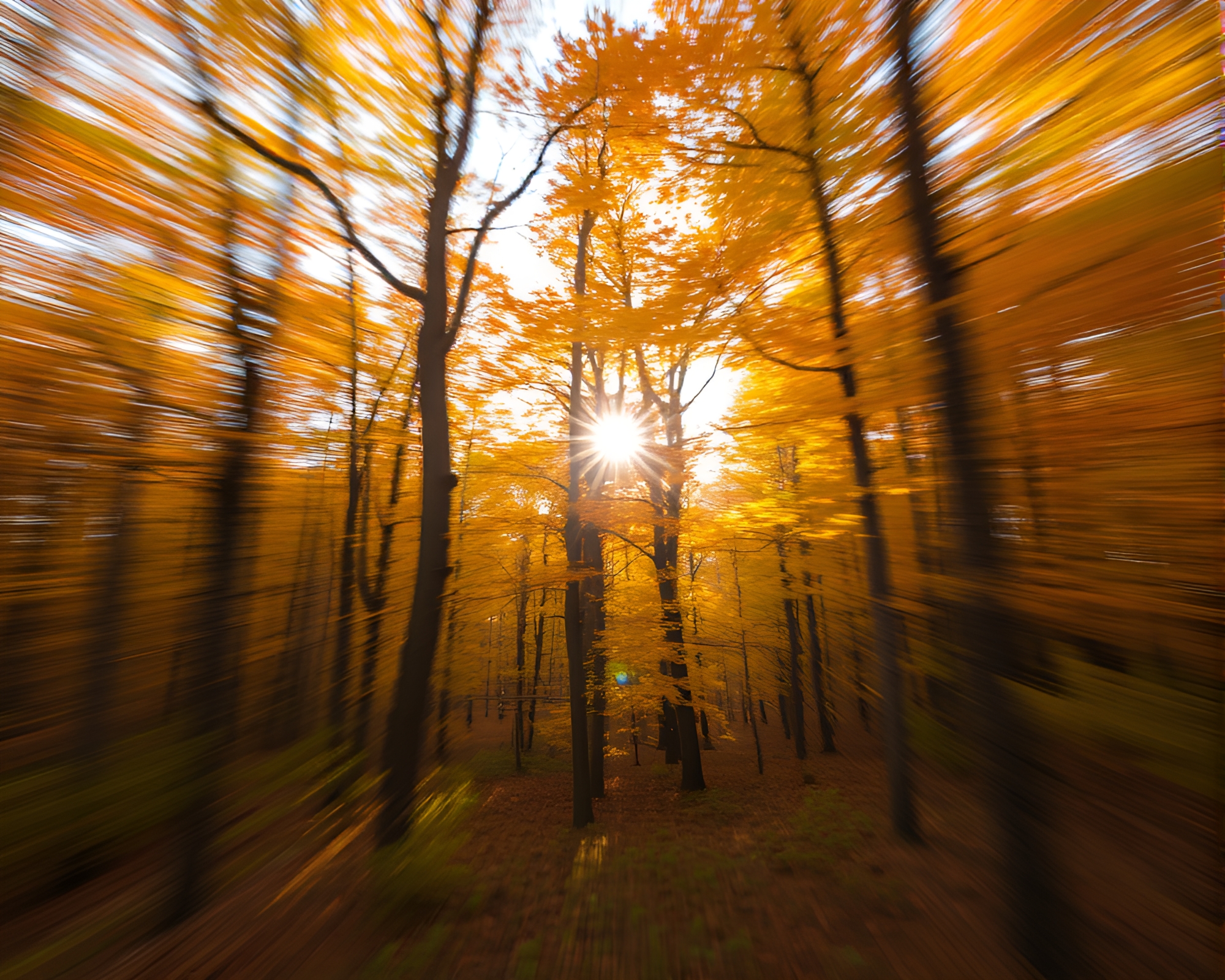 Enchanted Autumn Forest Through Starburst Motion Blur Frame – free AI stock image