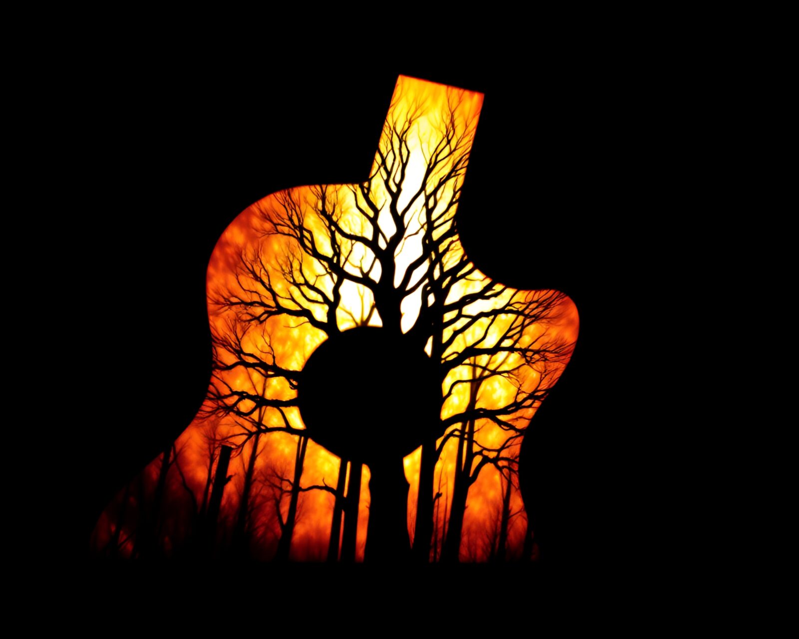 Backlit silhouette of guitar outlined by tree ring pattern