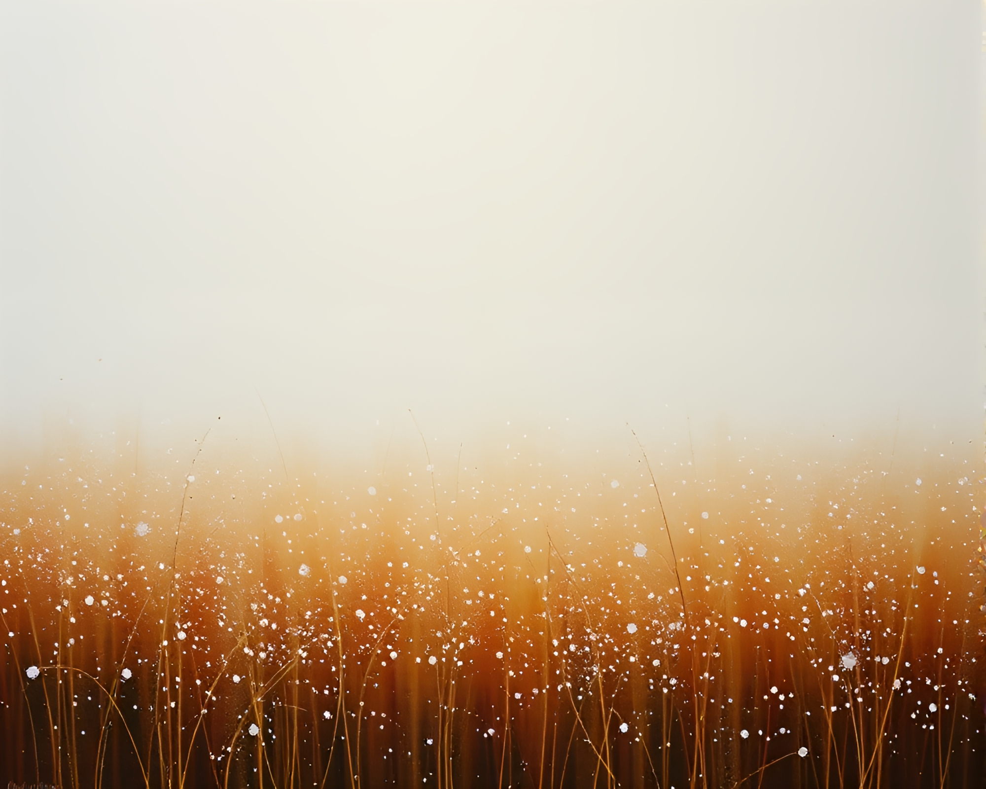 Snowflake Rickshaw Ride Through Earth-Toned Landscape – free AI stock image