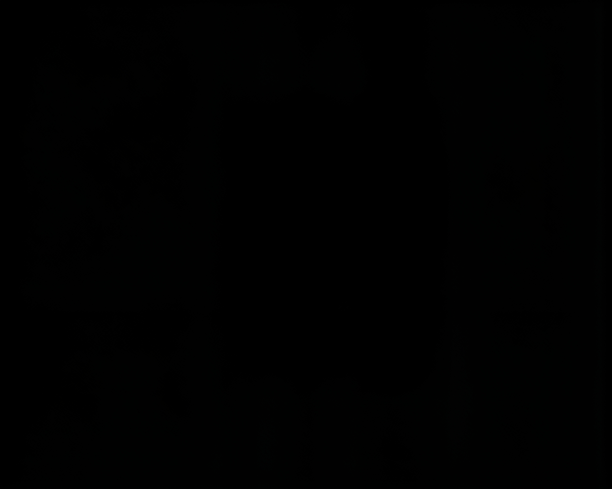 Negative Space Savannah: écorché CRT Flicker Study – free AI stock image