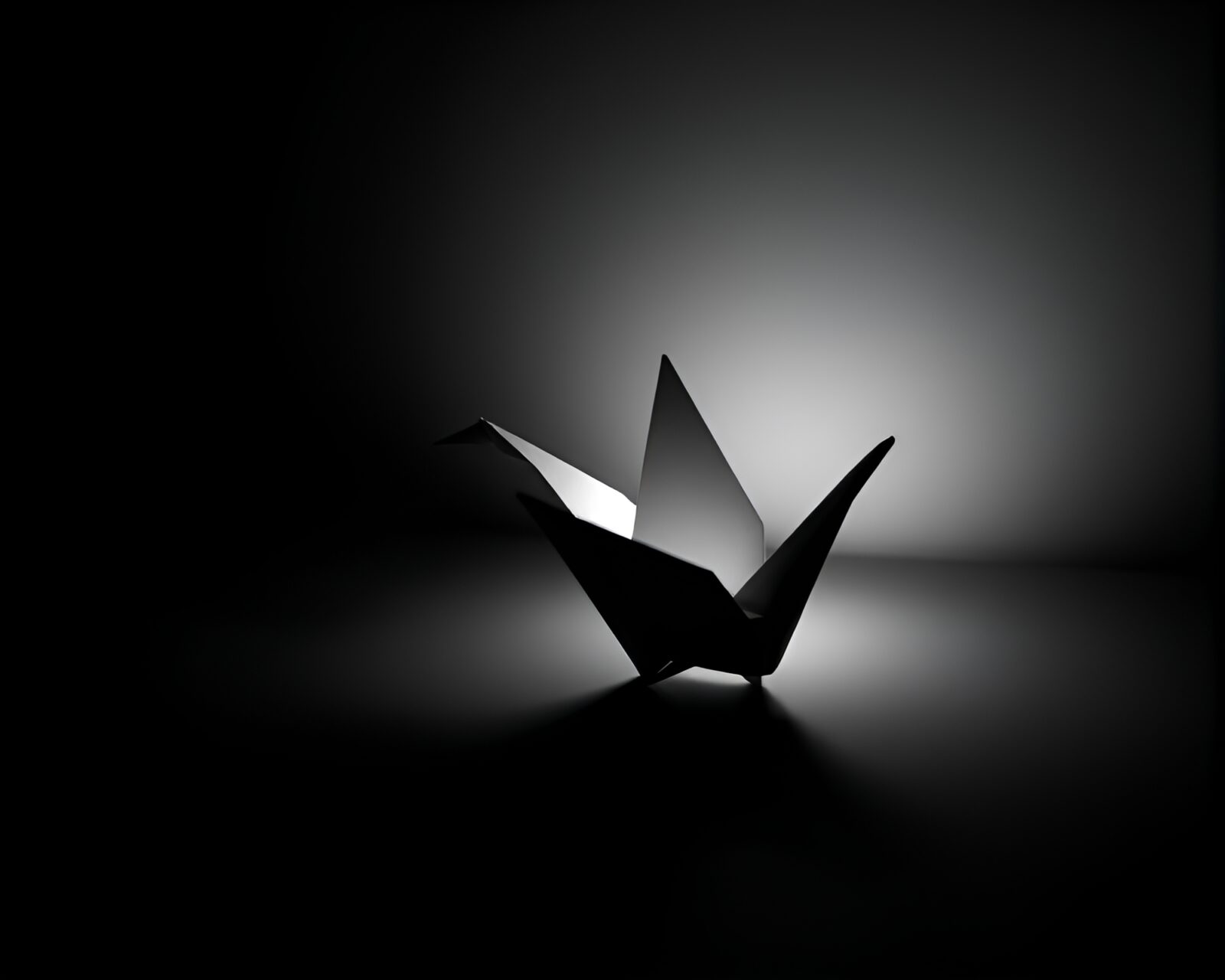 Beautifully illuminated paper crane in dark and light contrast