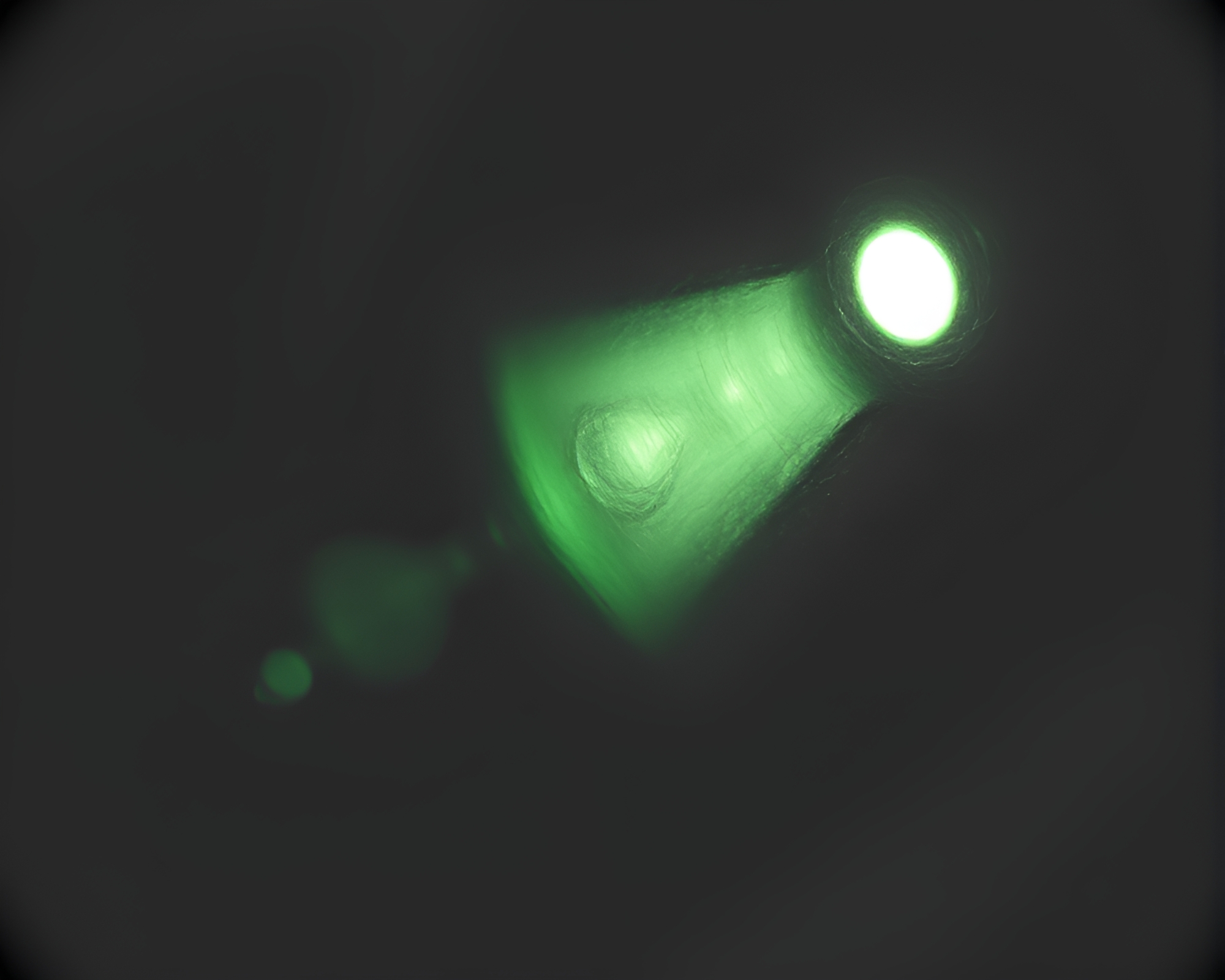 Split Focus Charcoal Sketch in Monochrome Green – free AI stock image